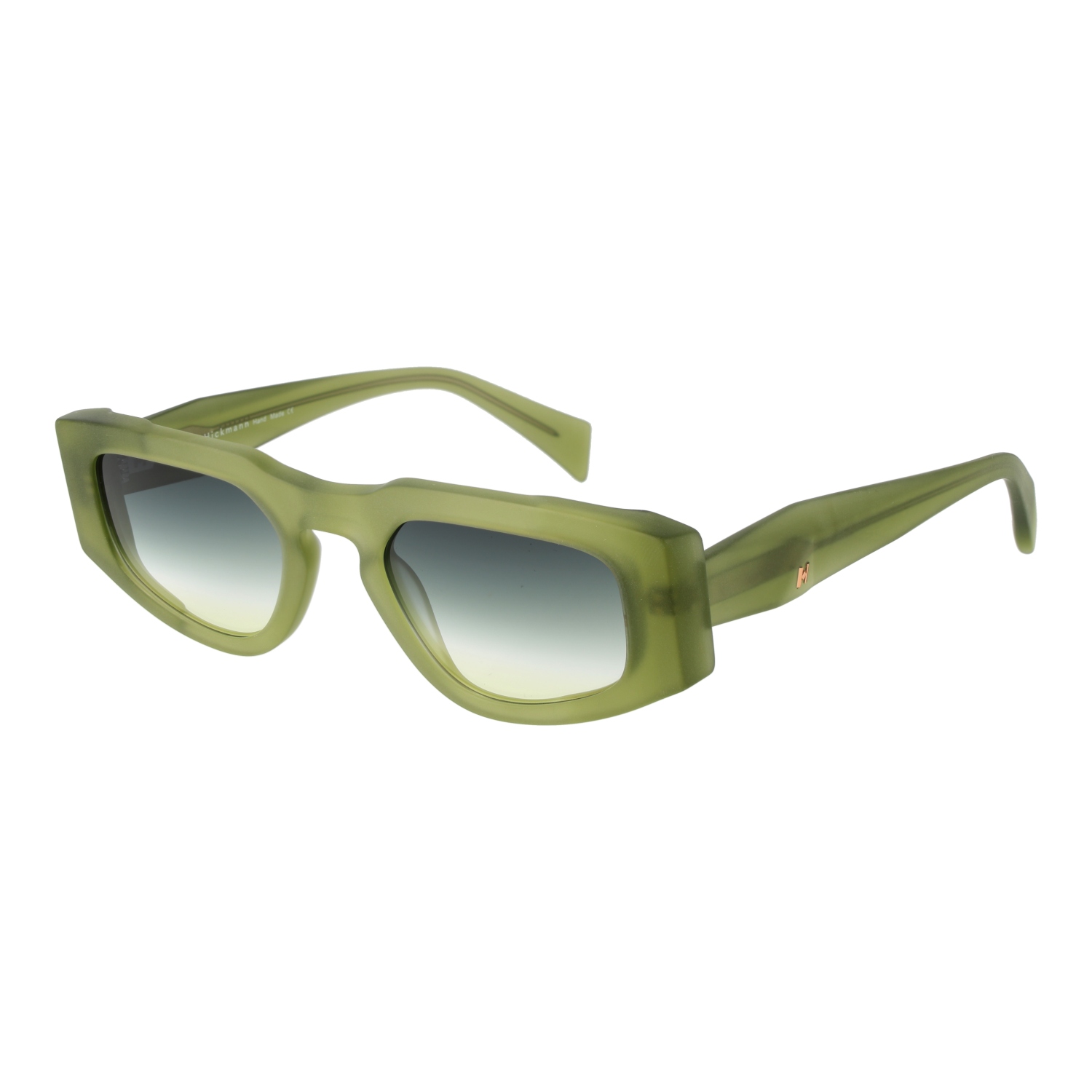 Ana Hickmann Sunglasses HI9220 T01 51