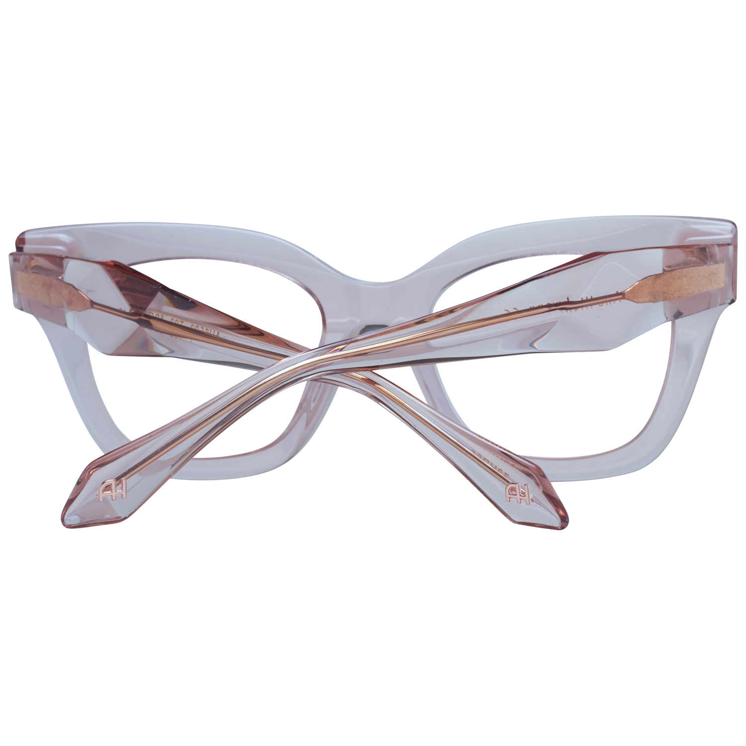 Ana Hickmann Optical Frame AH6523 T02 50