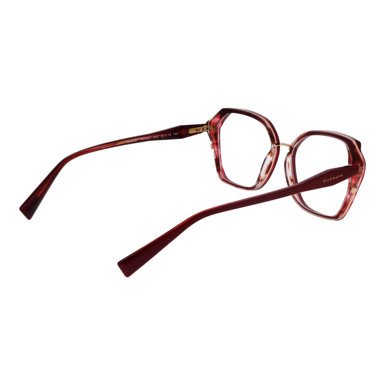 Ana Hickmann Optical Frame HI1251 H02 53