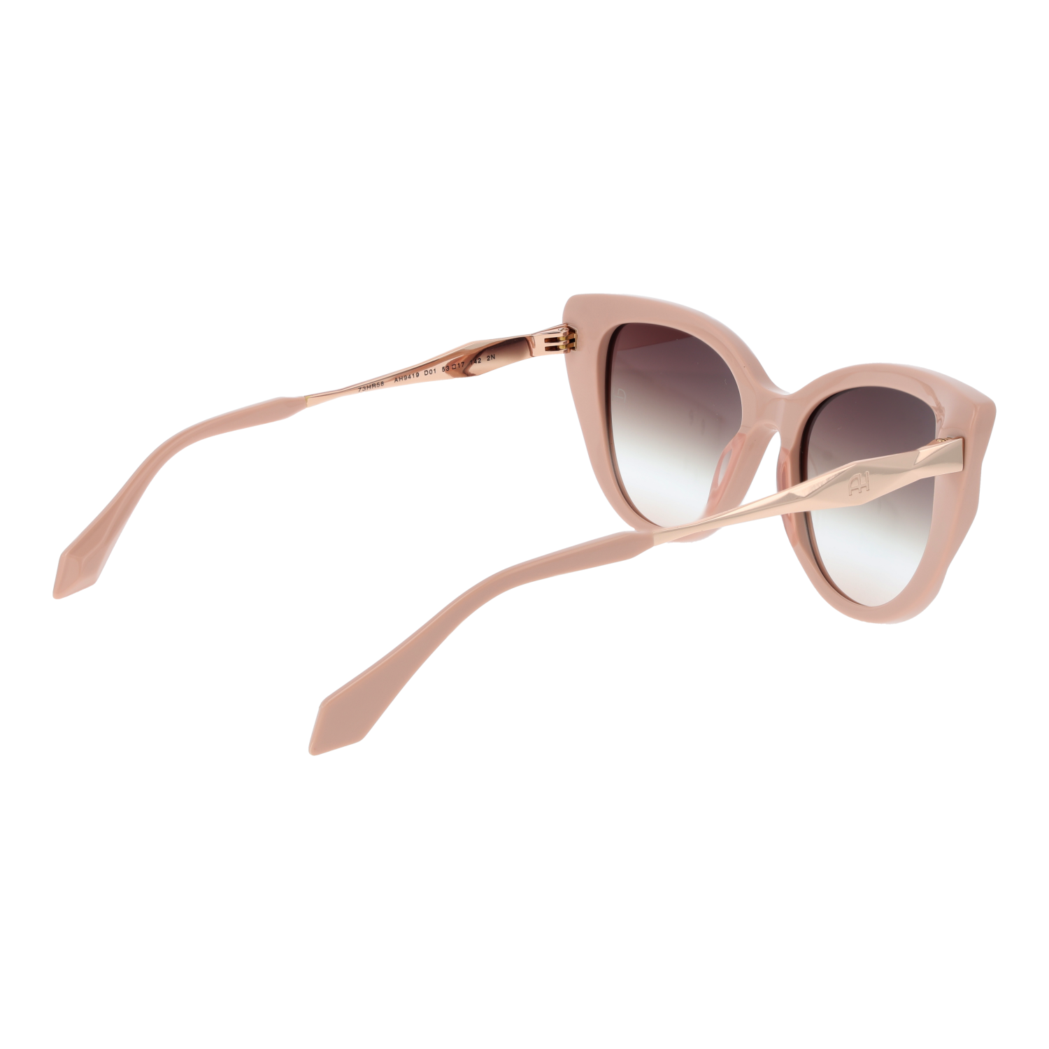 Ana Hickmann Sunglasses AH9419 D01 53