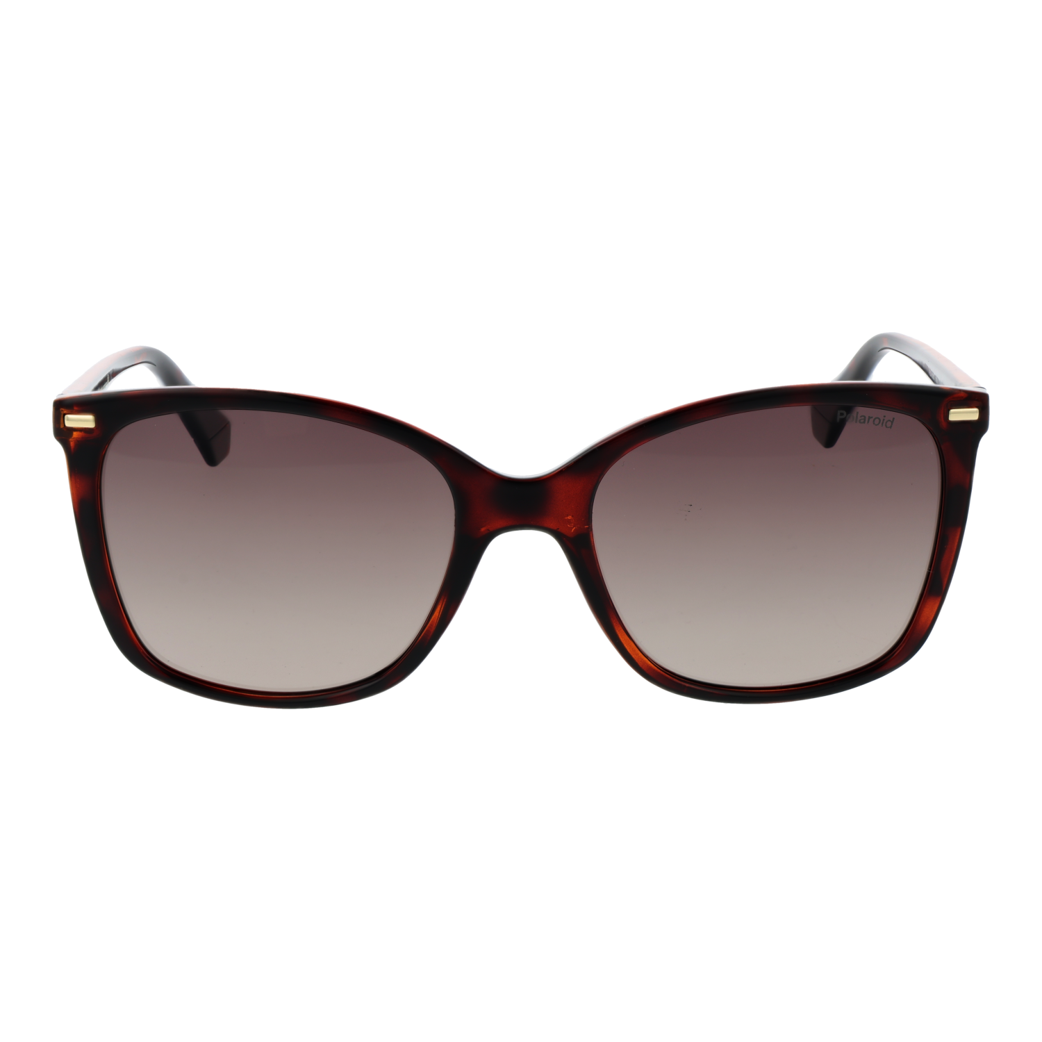 Polaroid Sunglasses PLD 4108/S 086LA 55