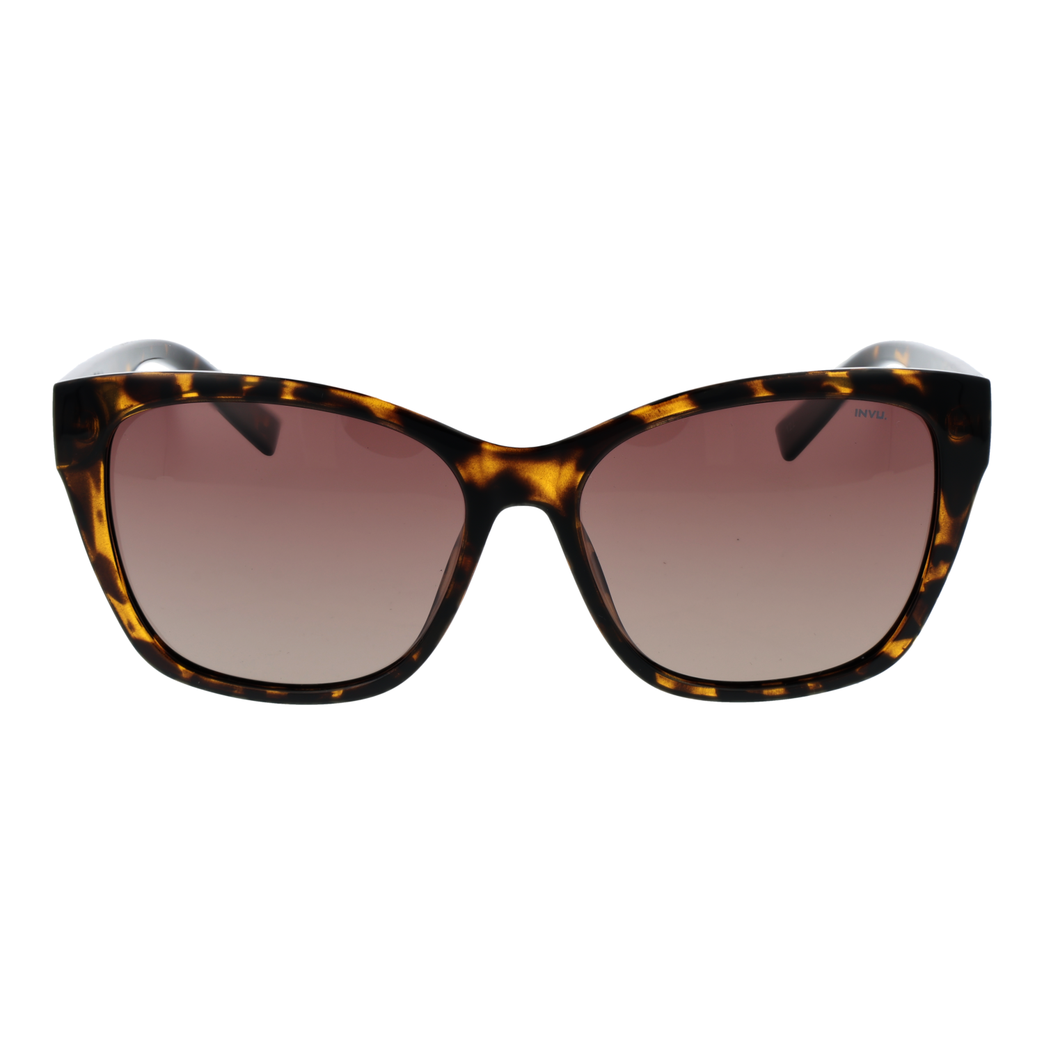 Invu Sunglasses B2330 B 57