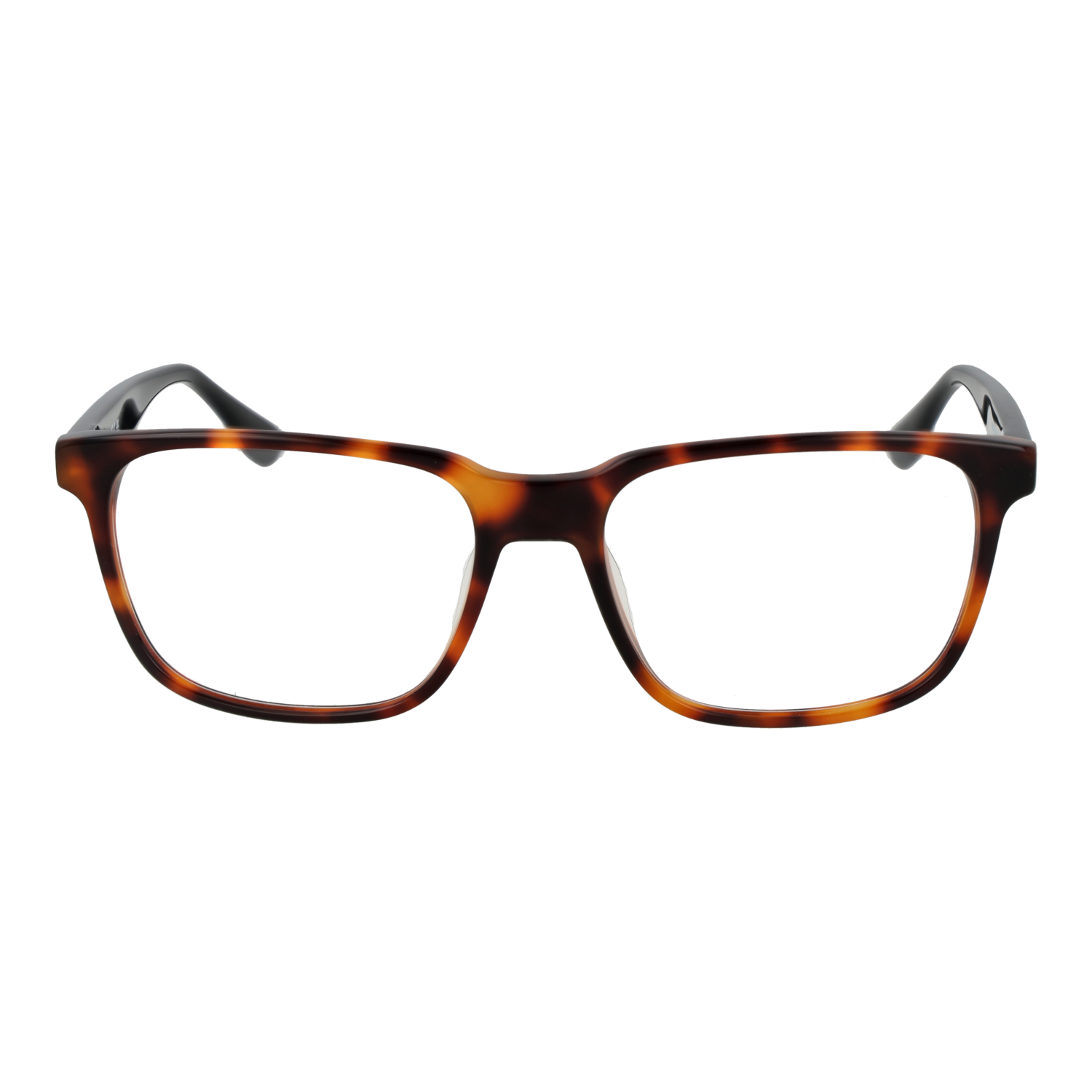 BMW Optical Frame BW5063-H 053 55