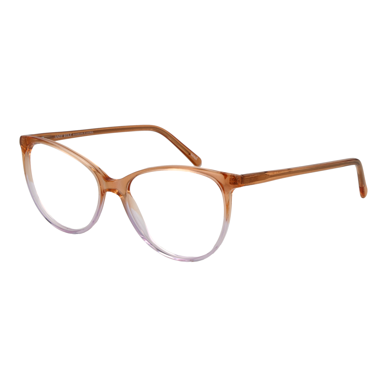 Andy Wolf Optical Frame 5076 F 55