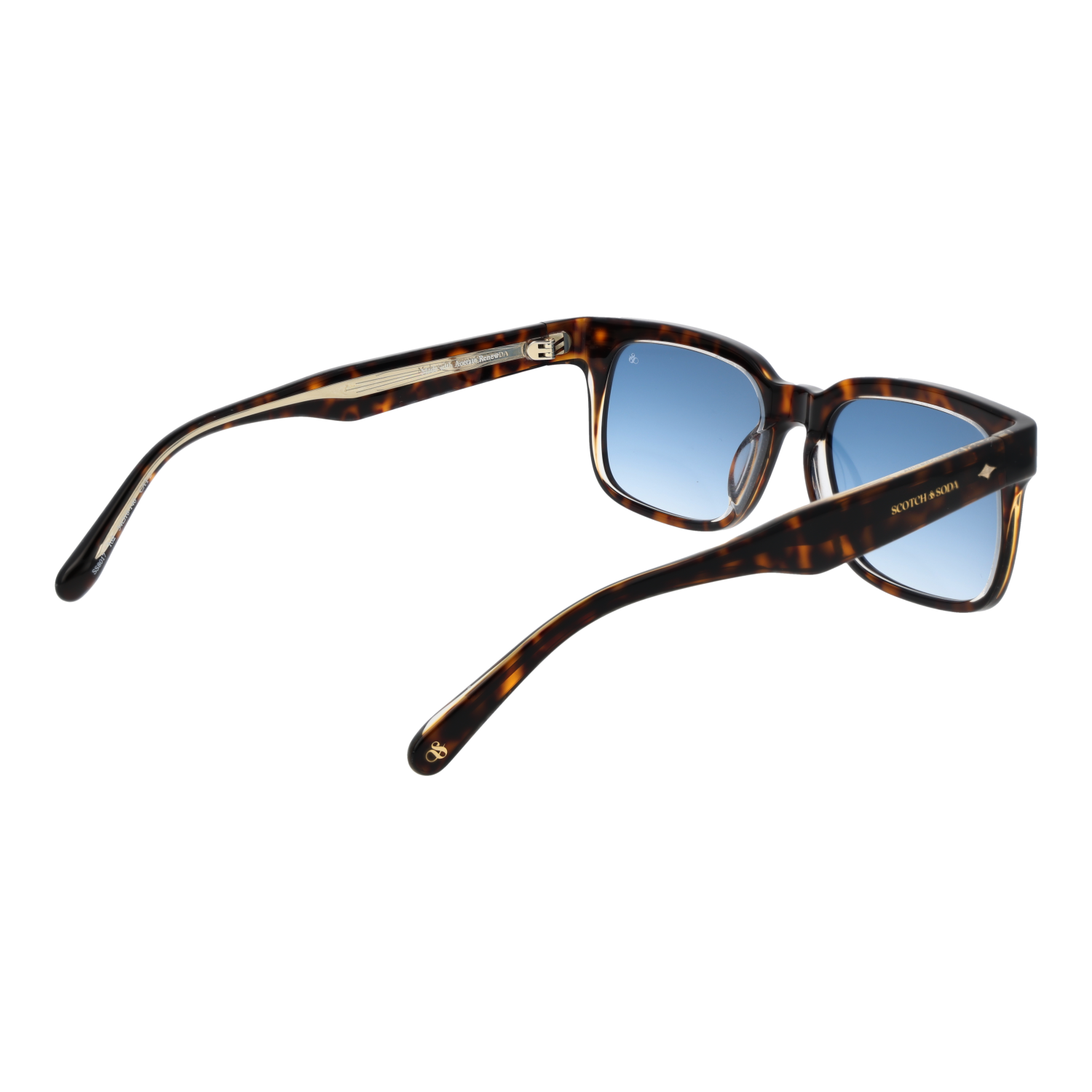 Lunettes de soleil Scotch & Soda SS8017 102 54
