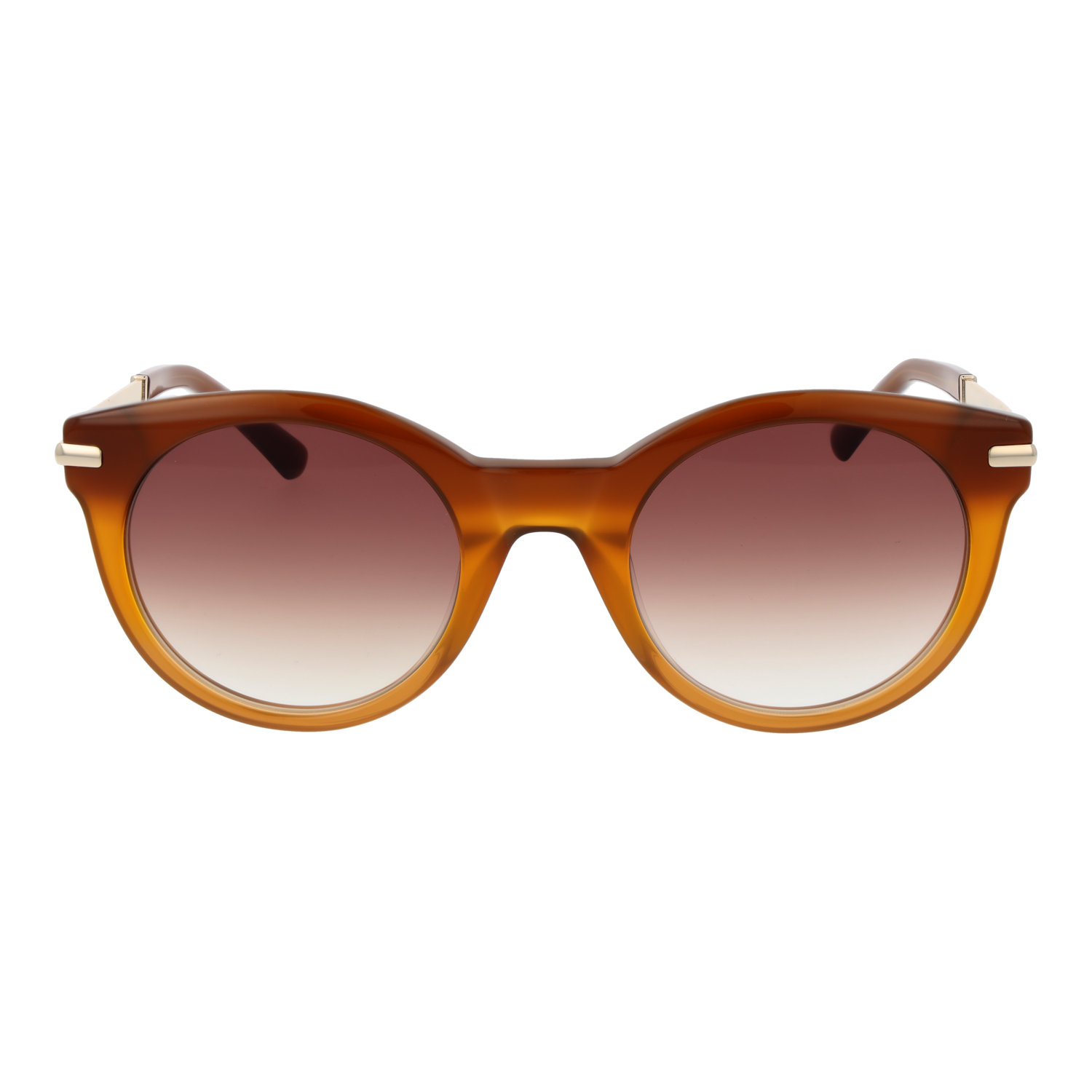 Sandro Lunettes de soleil SD6049 104 51