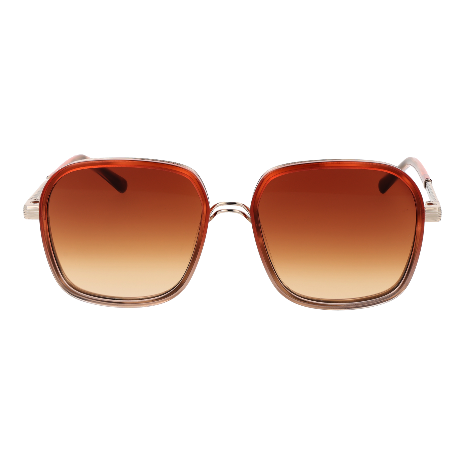 Sandro Sunglasses SD6050 106 54