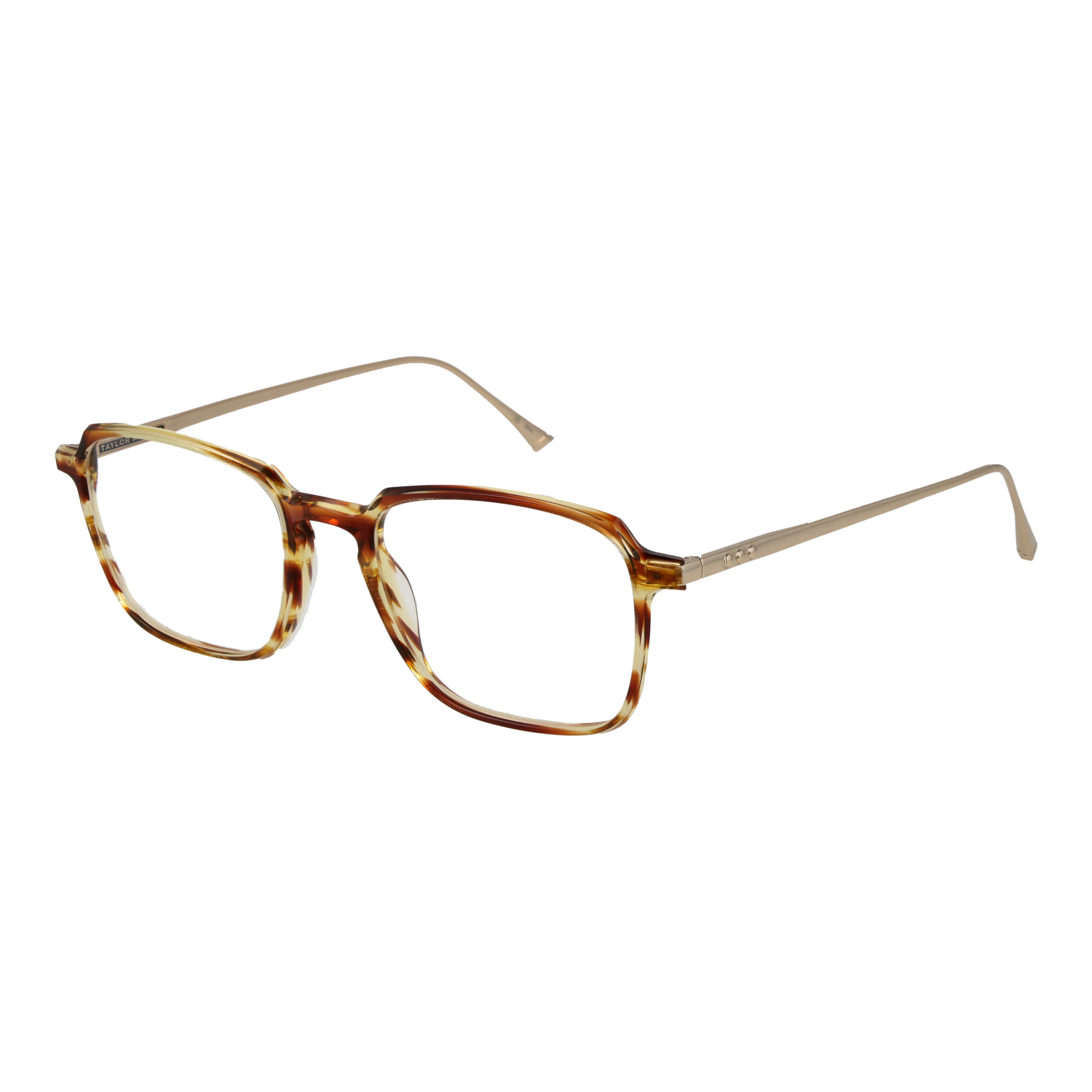 Taylor Morris Optical Frame SW3 C2 53