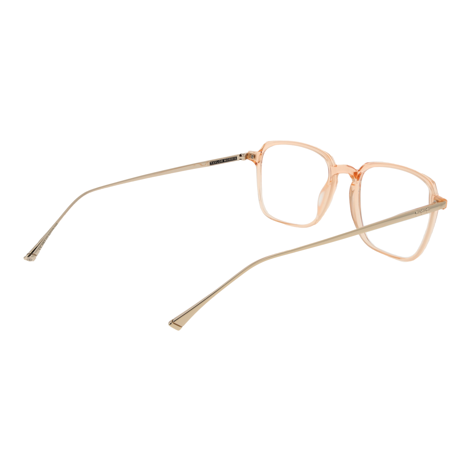 Taylor Morris Optical Frame SW3 C5 53