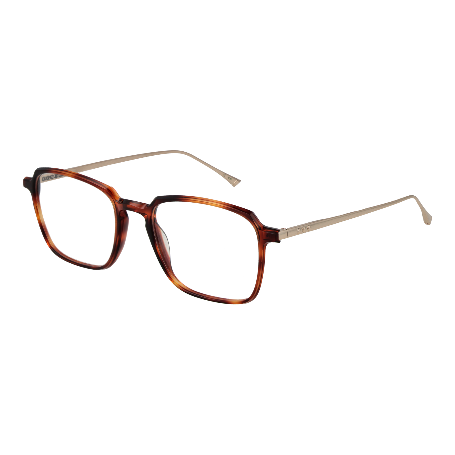 Taylor Morris Optical Frame SW3 C7 53