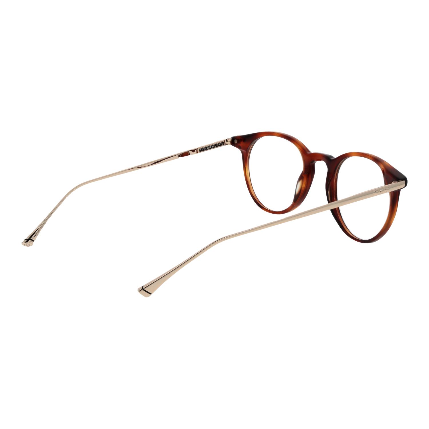 Taylor Morris Optical Frame TM07 C2 47