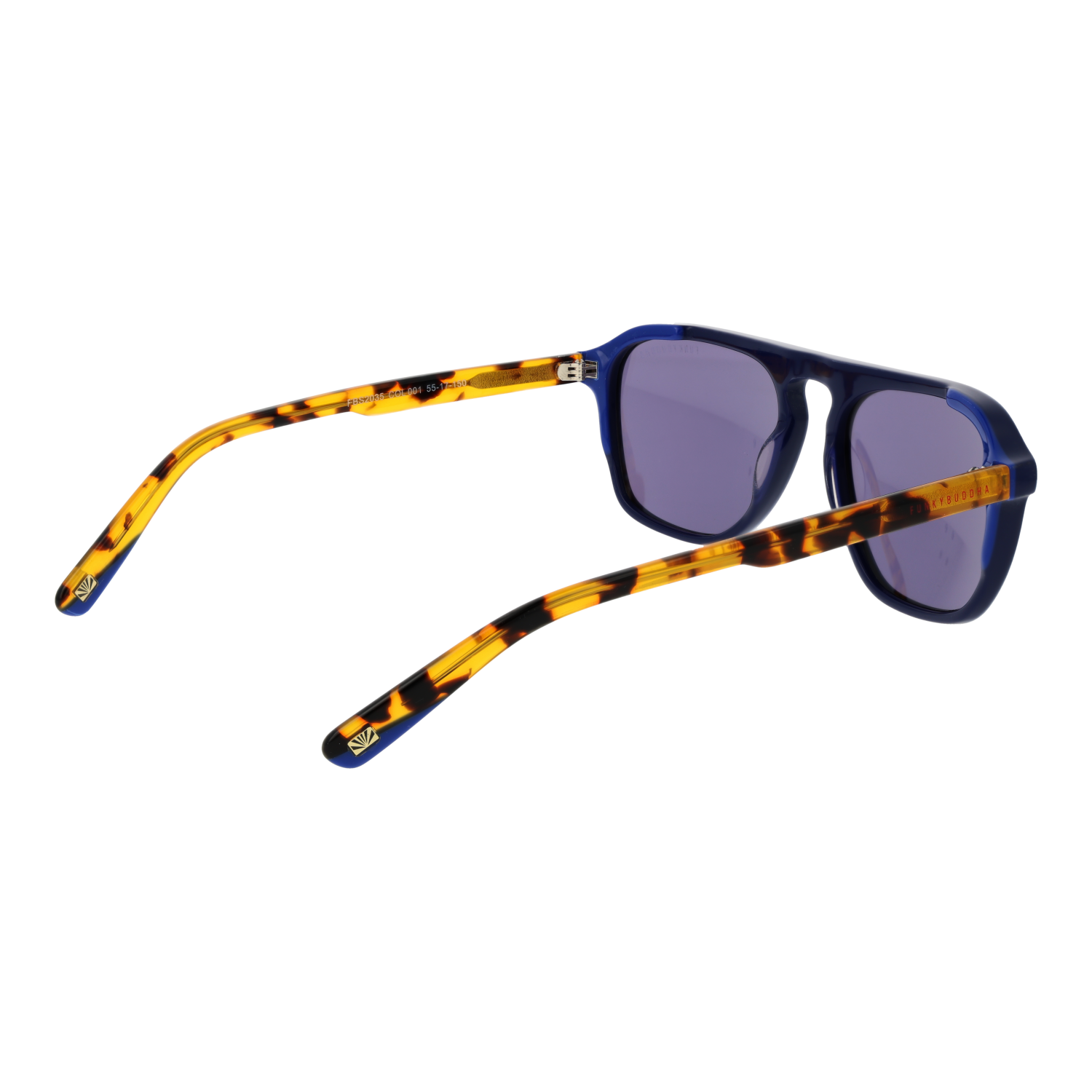 Lunettes de soleil Funky Buddha FBS2035 001 55