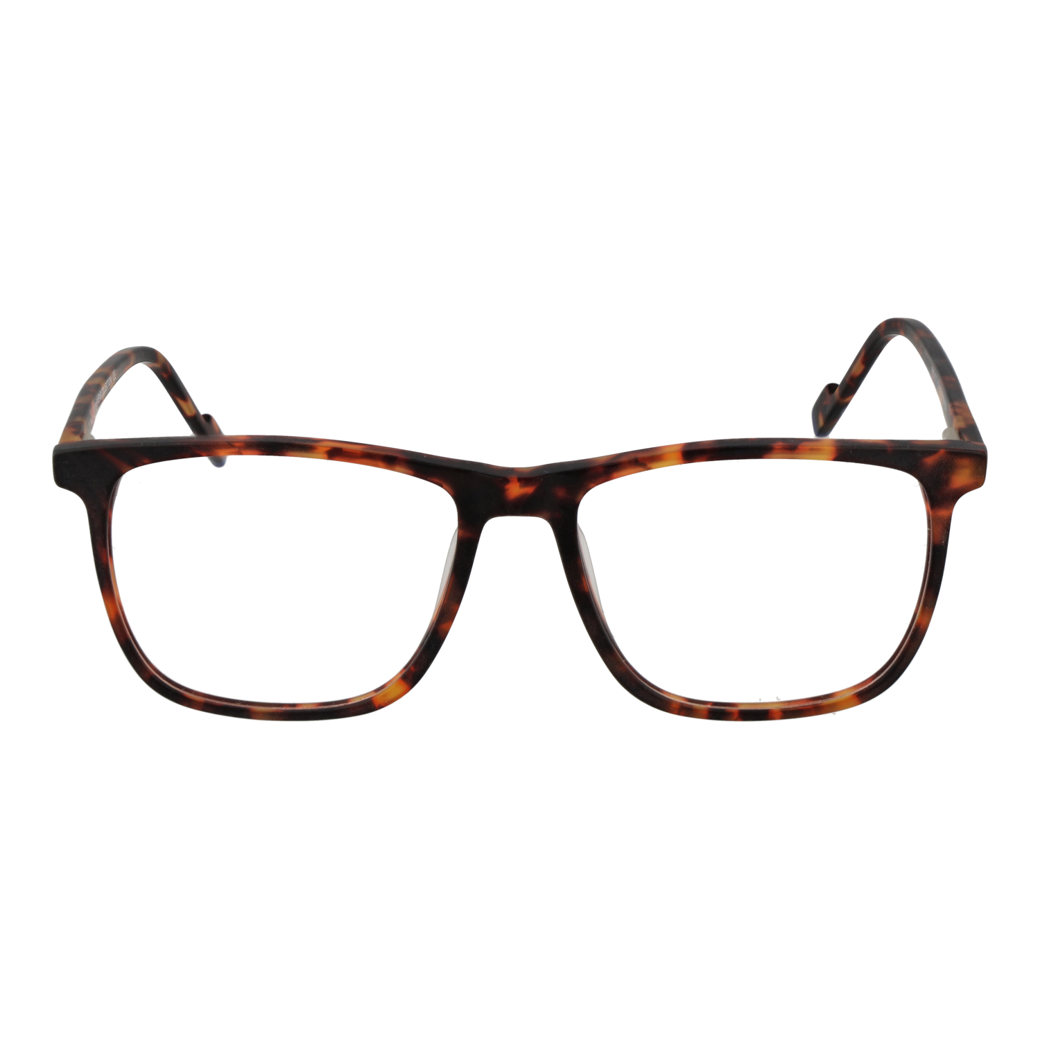 Monture optique Funky Buddha FBD1073 003 56