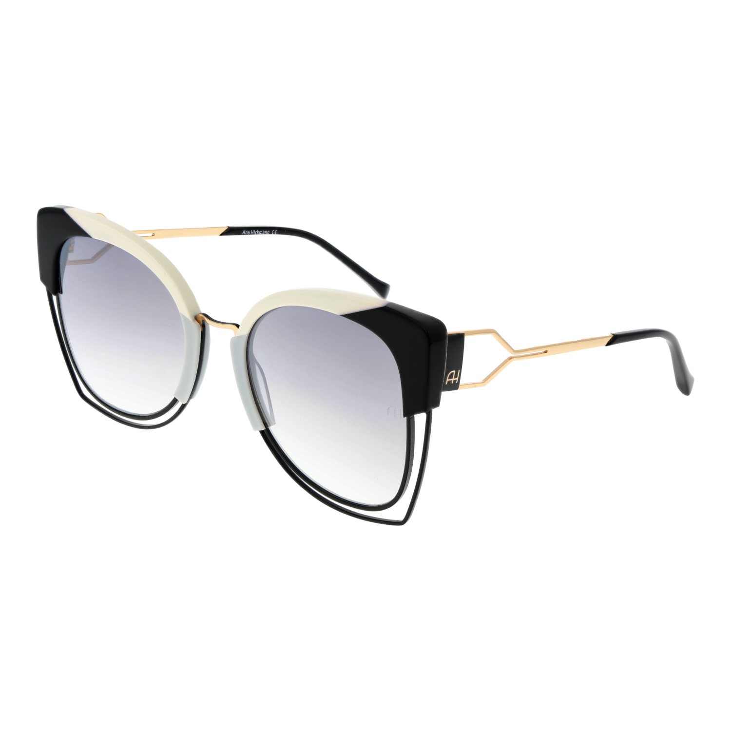 Ana Hickmann Sunglasses AH3181 P02 54