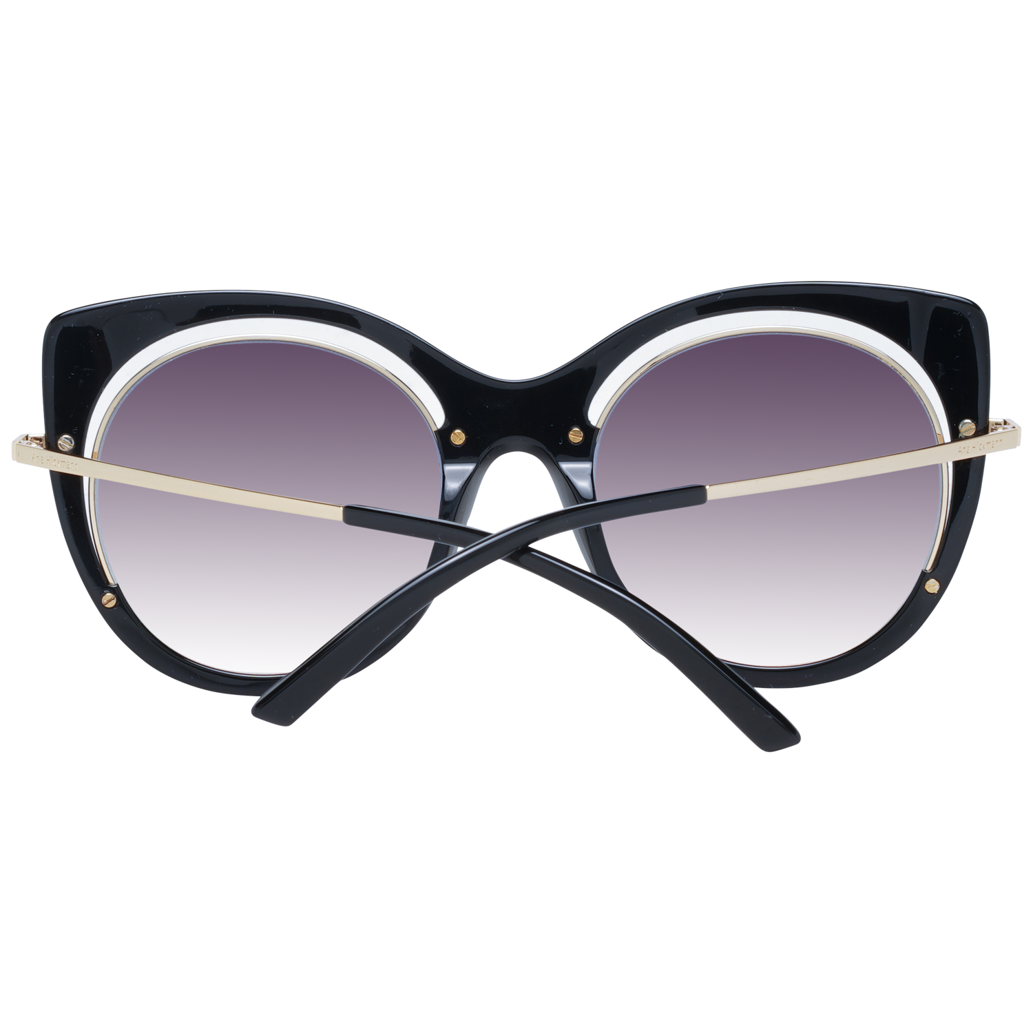Ana Hickmann Sunglasses AH9265 A01 54