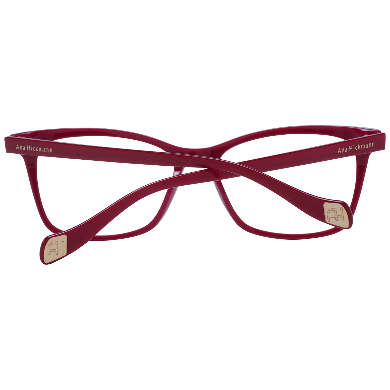 Ana Hickmann monture optique AH6347 H05 54