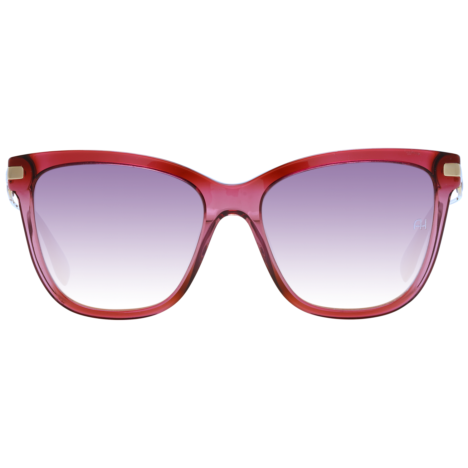 Ana Hickmann Lunettes de soleil AH9270 C02 54