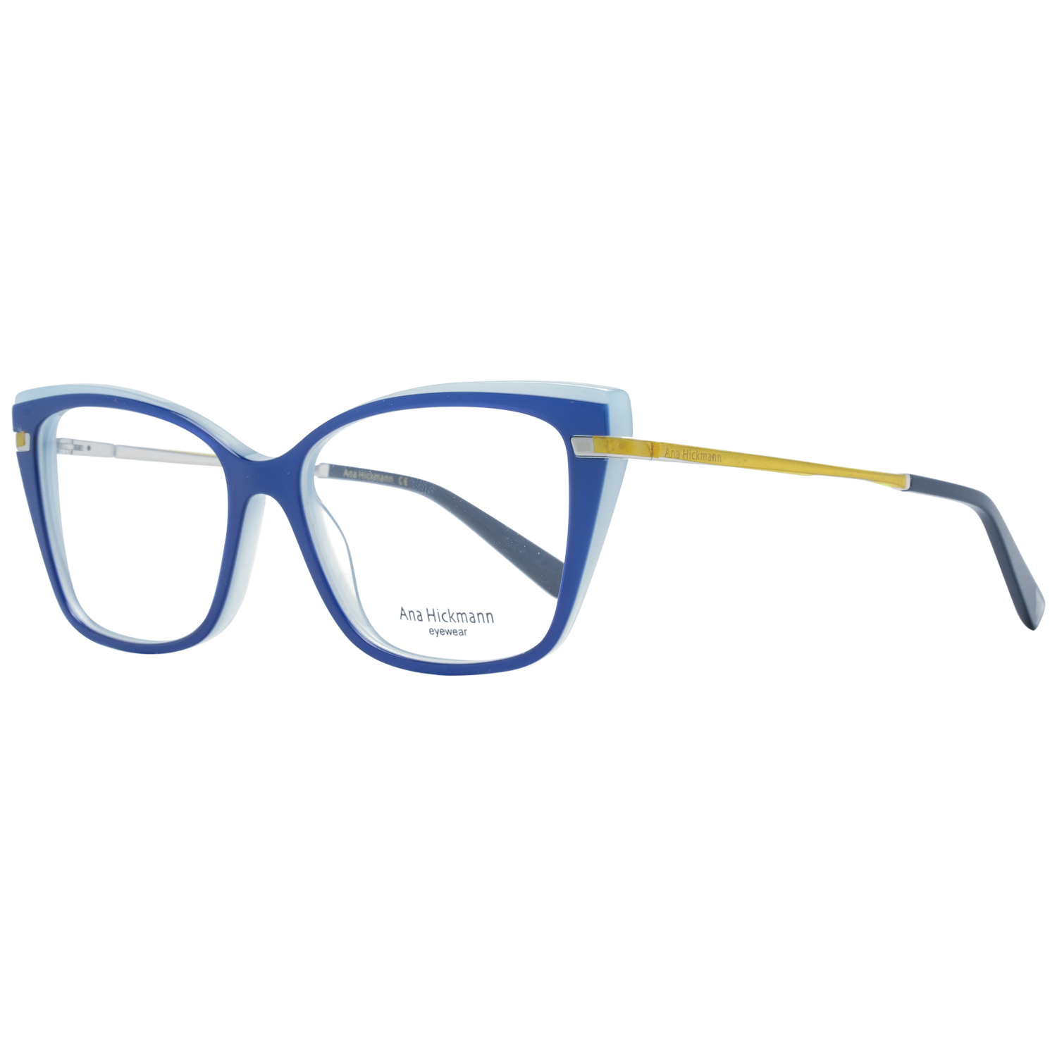 Ana Hickmann Optical Frame AH6372 03S 55