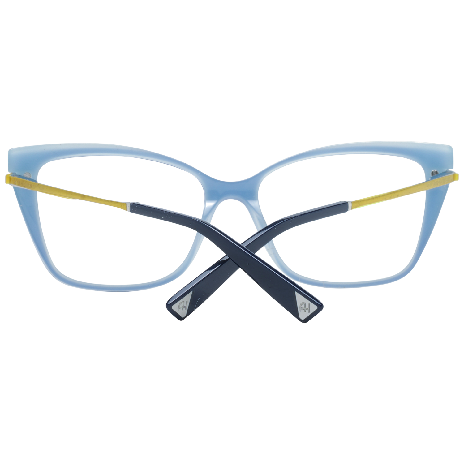 Ana Hickmann Optical Frame AH6372 03S 55