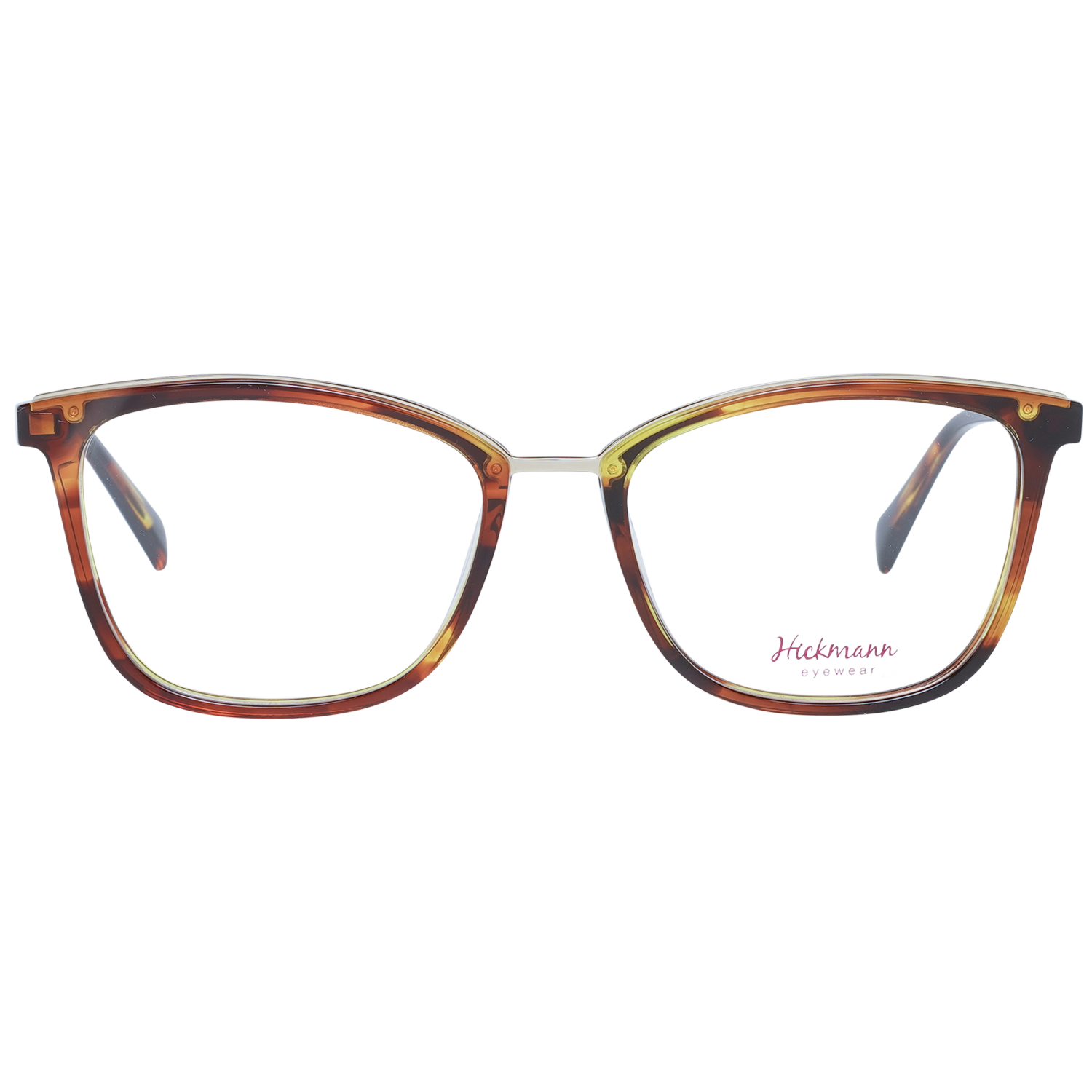 Ana Hickmann Optical Frame HI6134E E04 53