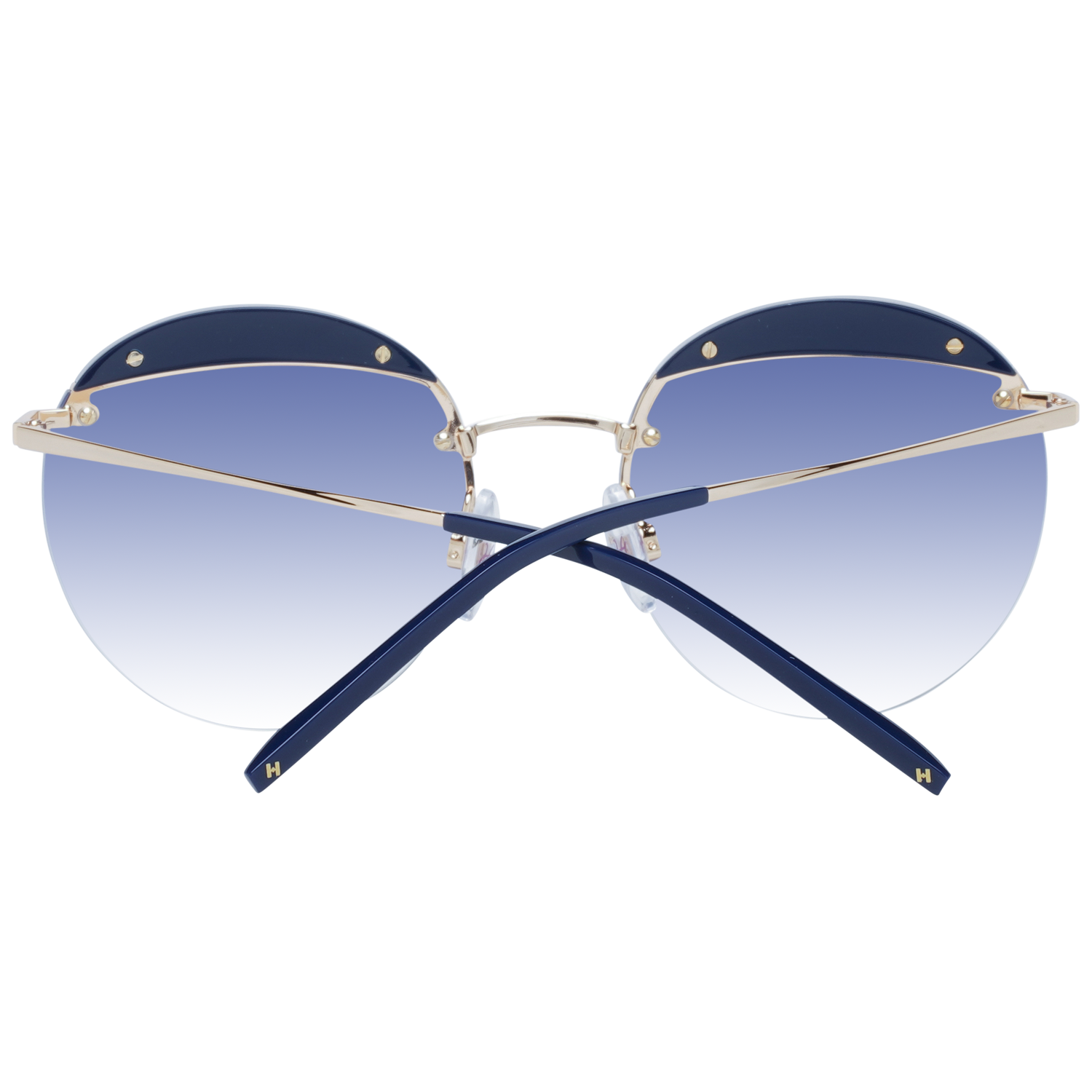 Ana Hickmann Sunglasses HI3110 D01 54