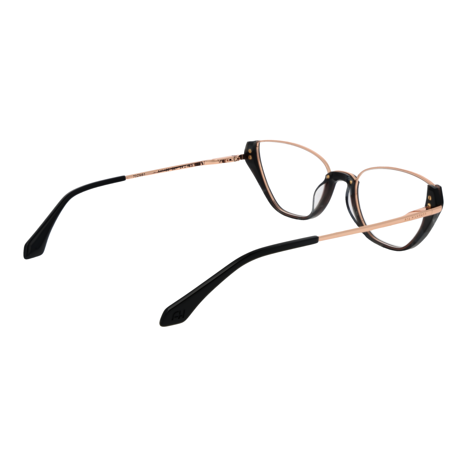 Ana Hickmann Optical Frame AH1436 G21 54