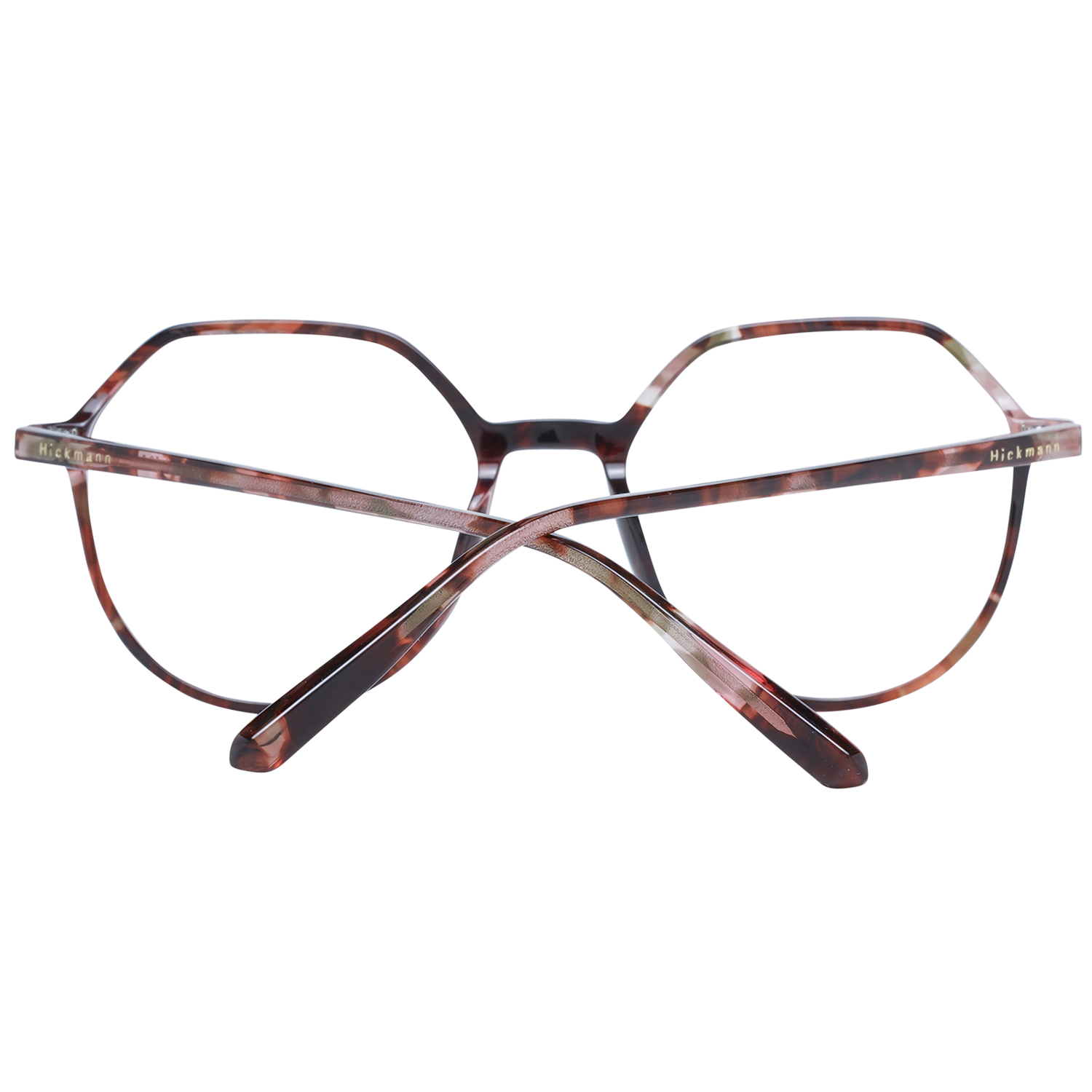 Ana Hickmann Optical Frame HI6193 G21 52