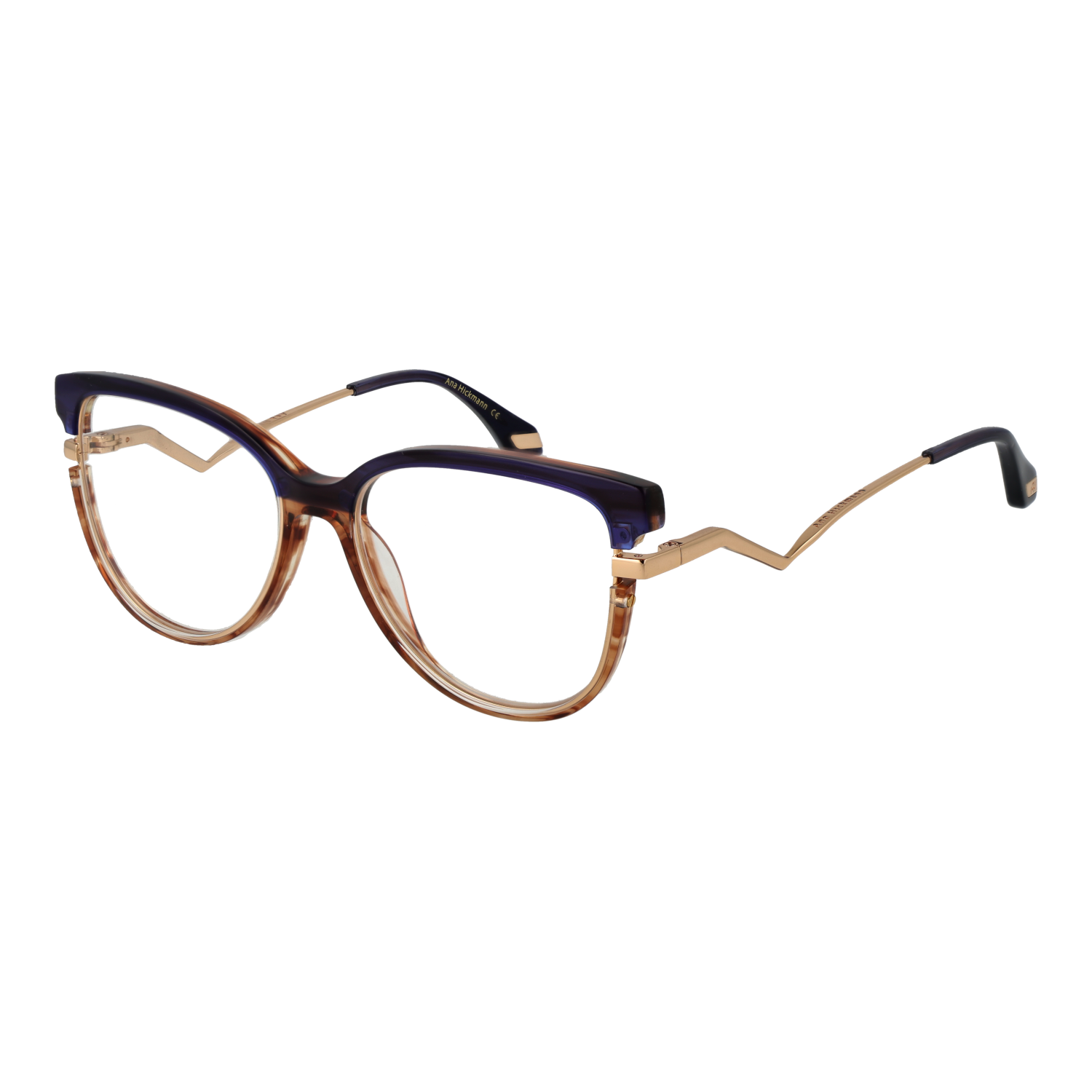 Ana Hickmann Optical Frame AH6446 C02 54