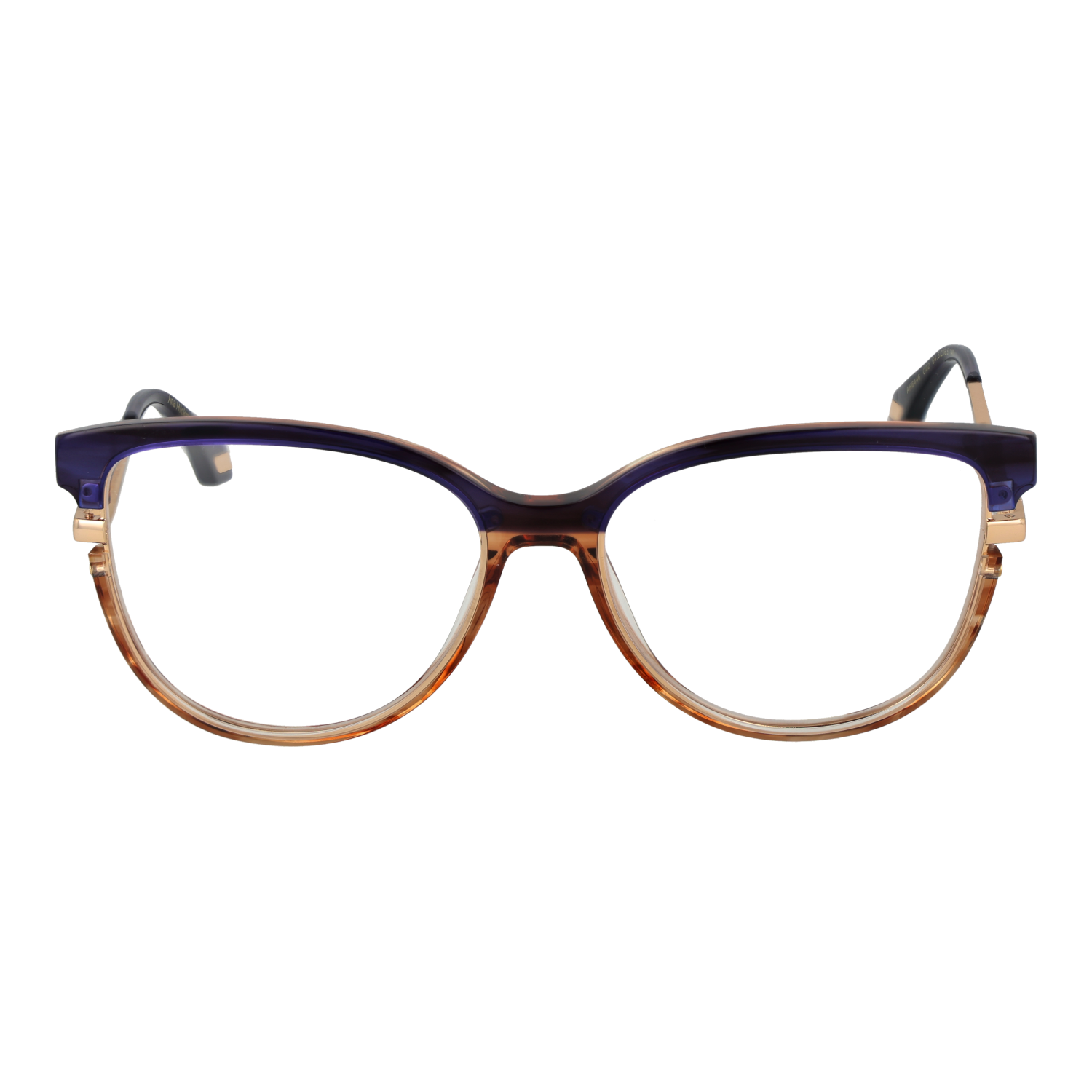 Ana Hickmann Optical Frame AH6446 C02 54