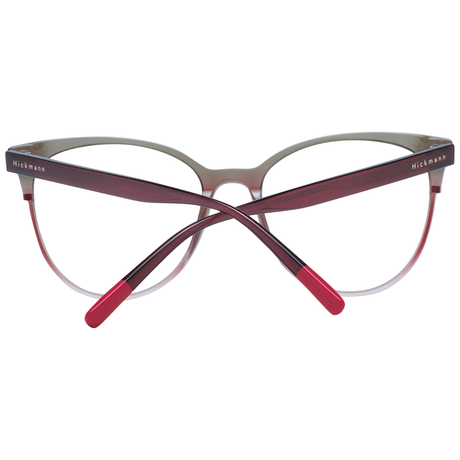 Ana Hickmann Optical Frame HI6230 C01 51