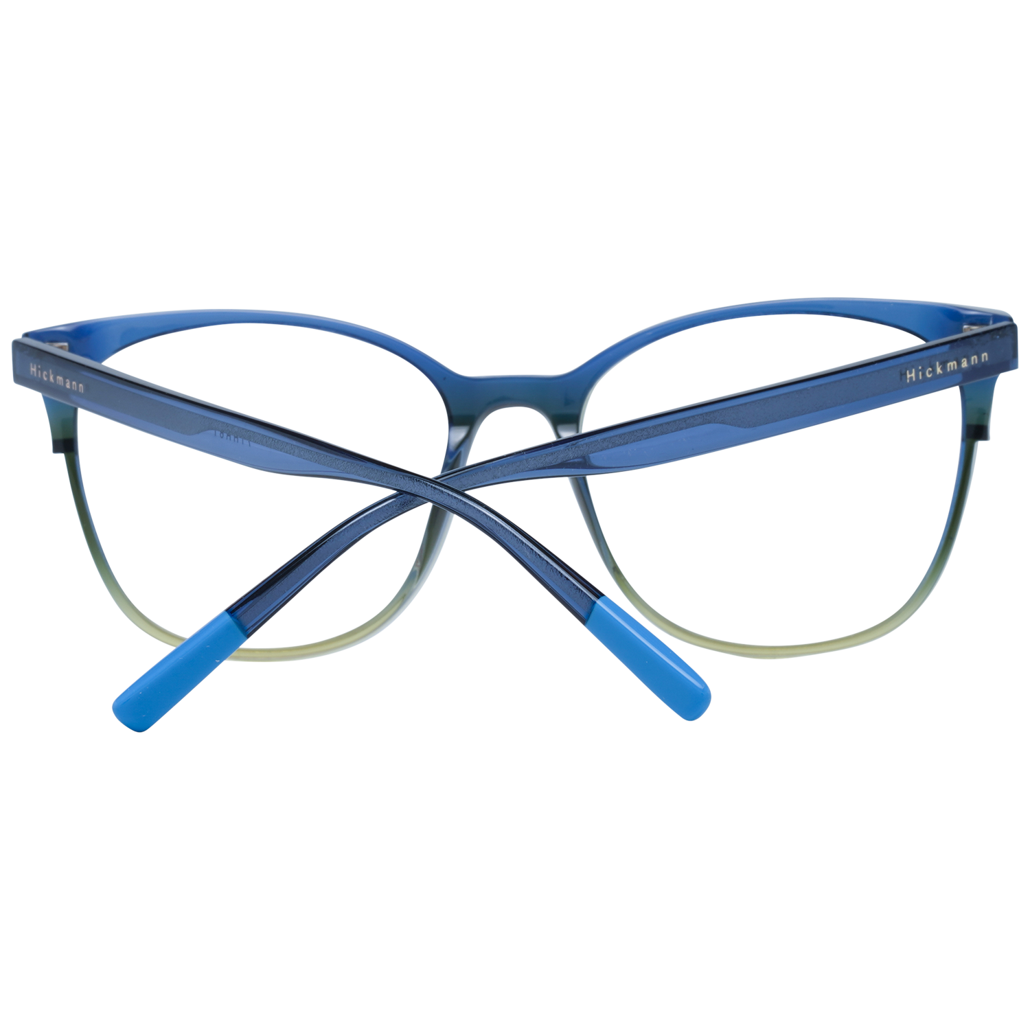 Ana Hickmann Optical Frame HI6231 C02 52