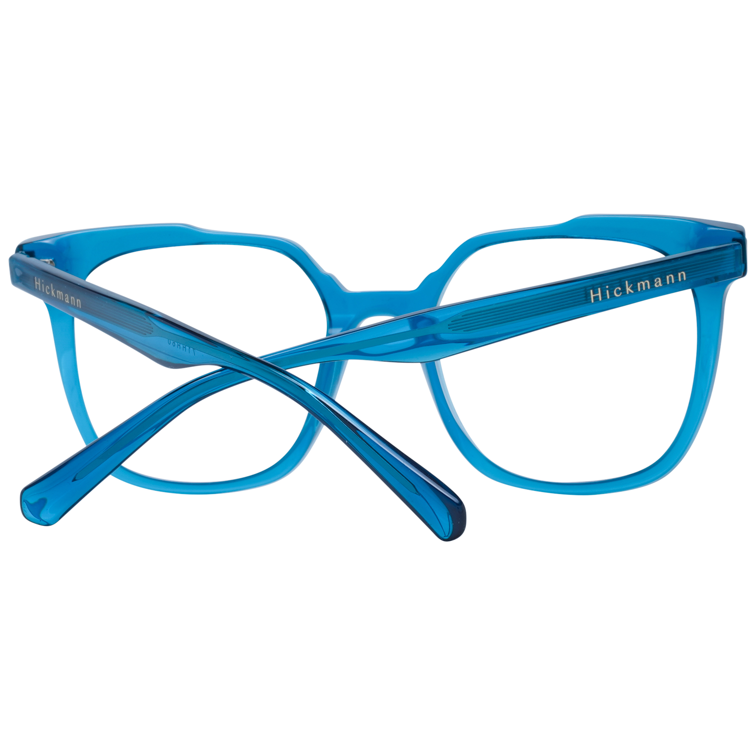 Ana Hickmann Optical Frame HI6233 T02 51