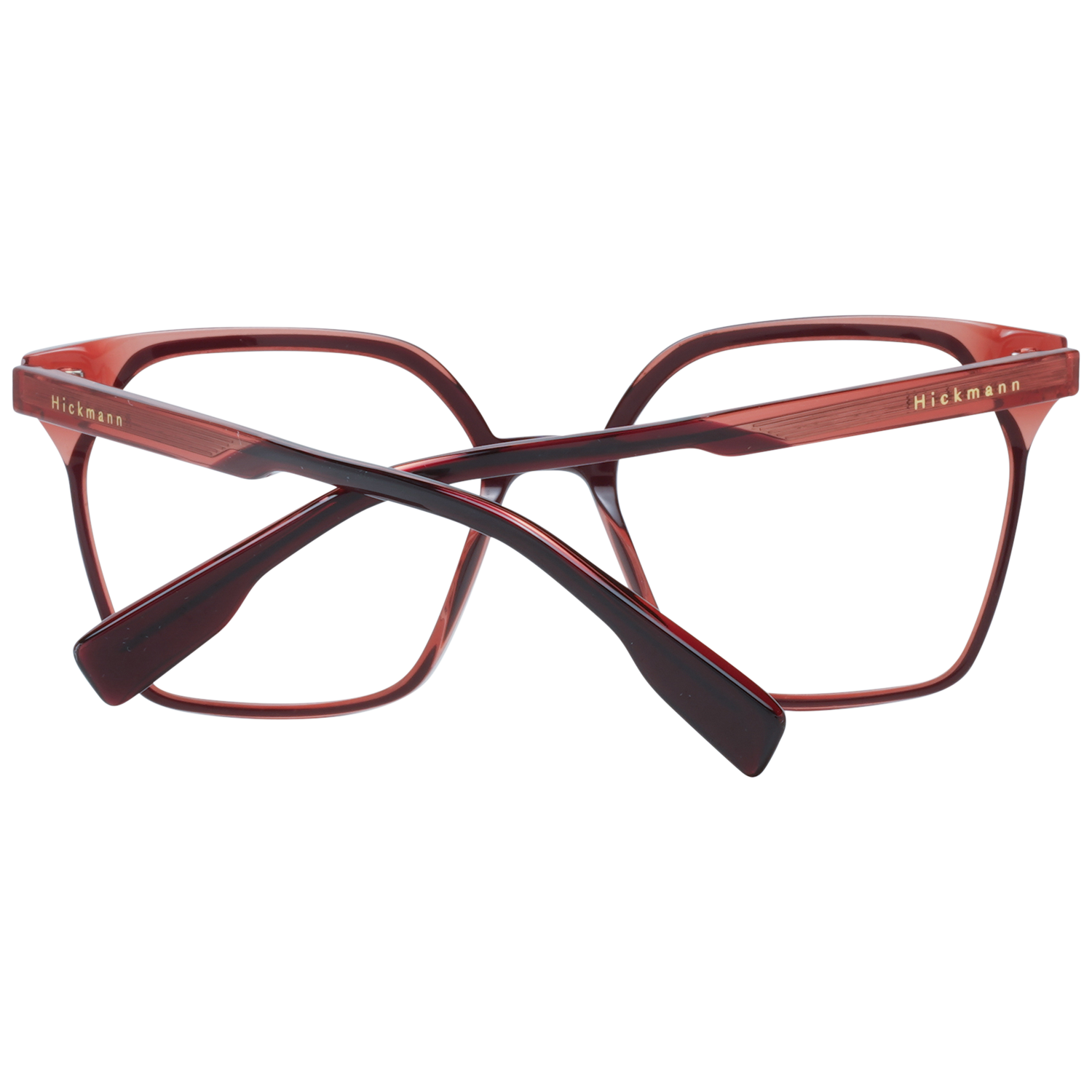 Ana Hickmann Optical Frame HIY6004 H02 50