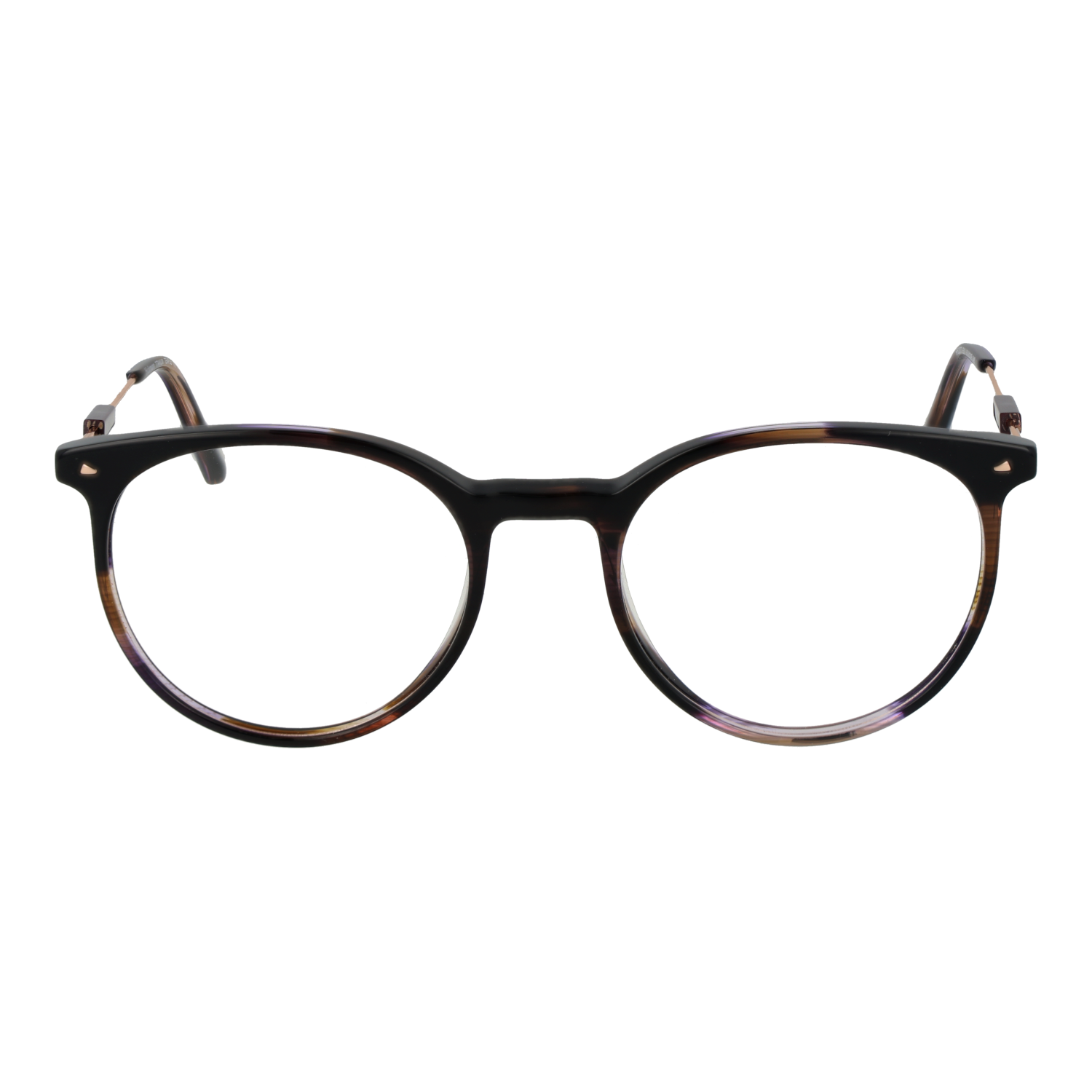 Ana Hickmann Optical Frame HI6237T E01 51