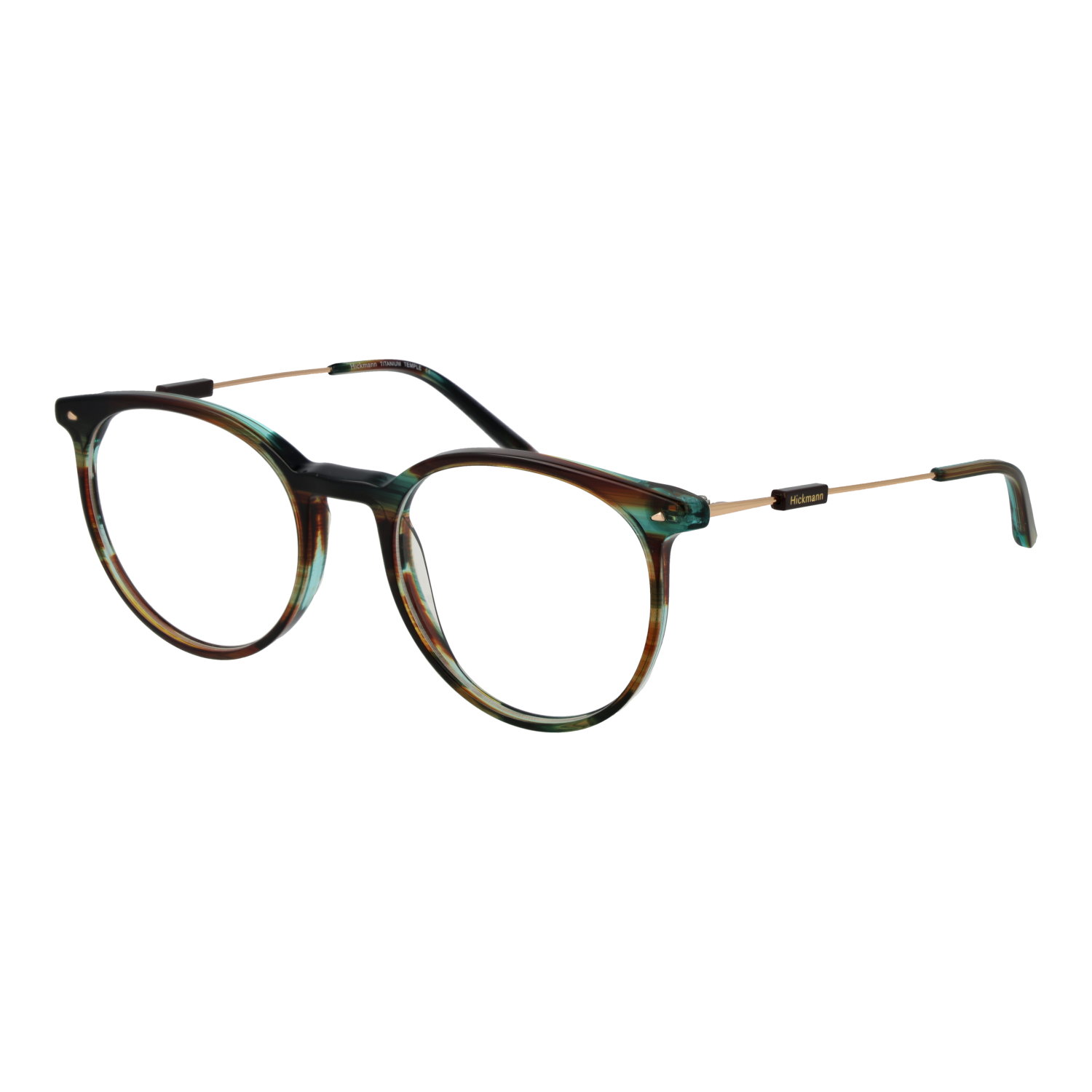 Ana Hickmann Optical Frame HI6237T E02 51