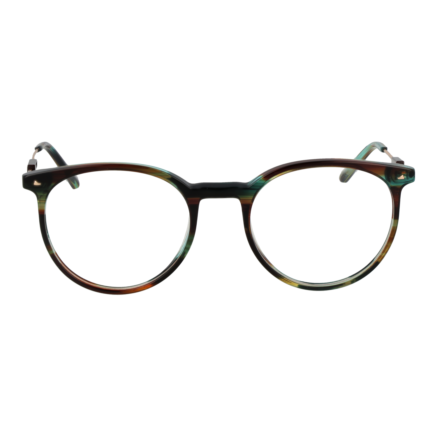 Ana Hickmann Optical Frame HI6237T E02 51