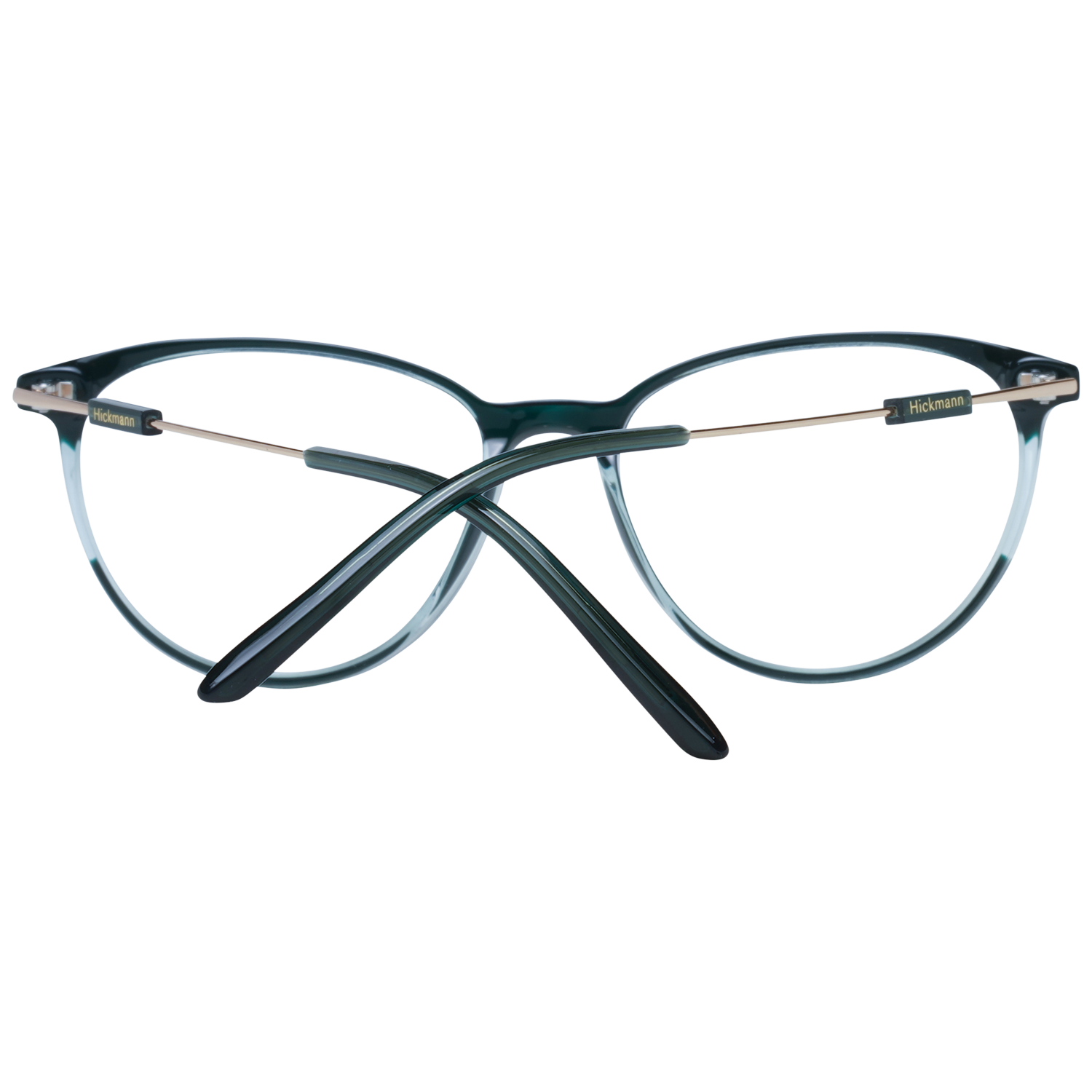 Ana Hickmann Optical Frame HI6238T H03 52 Titanium