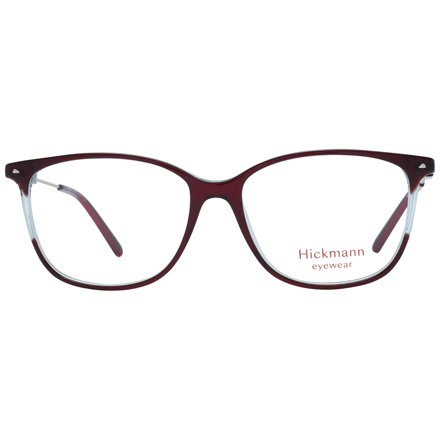 Ana Hickmann Optical Frame HI6239T H02 53 Titanium