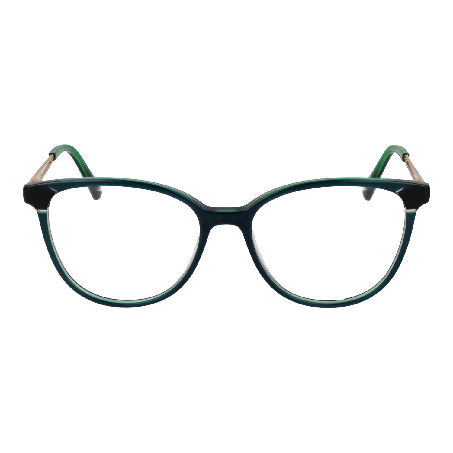 Ana Hickmann Optical Frame AH6460 P03 54