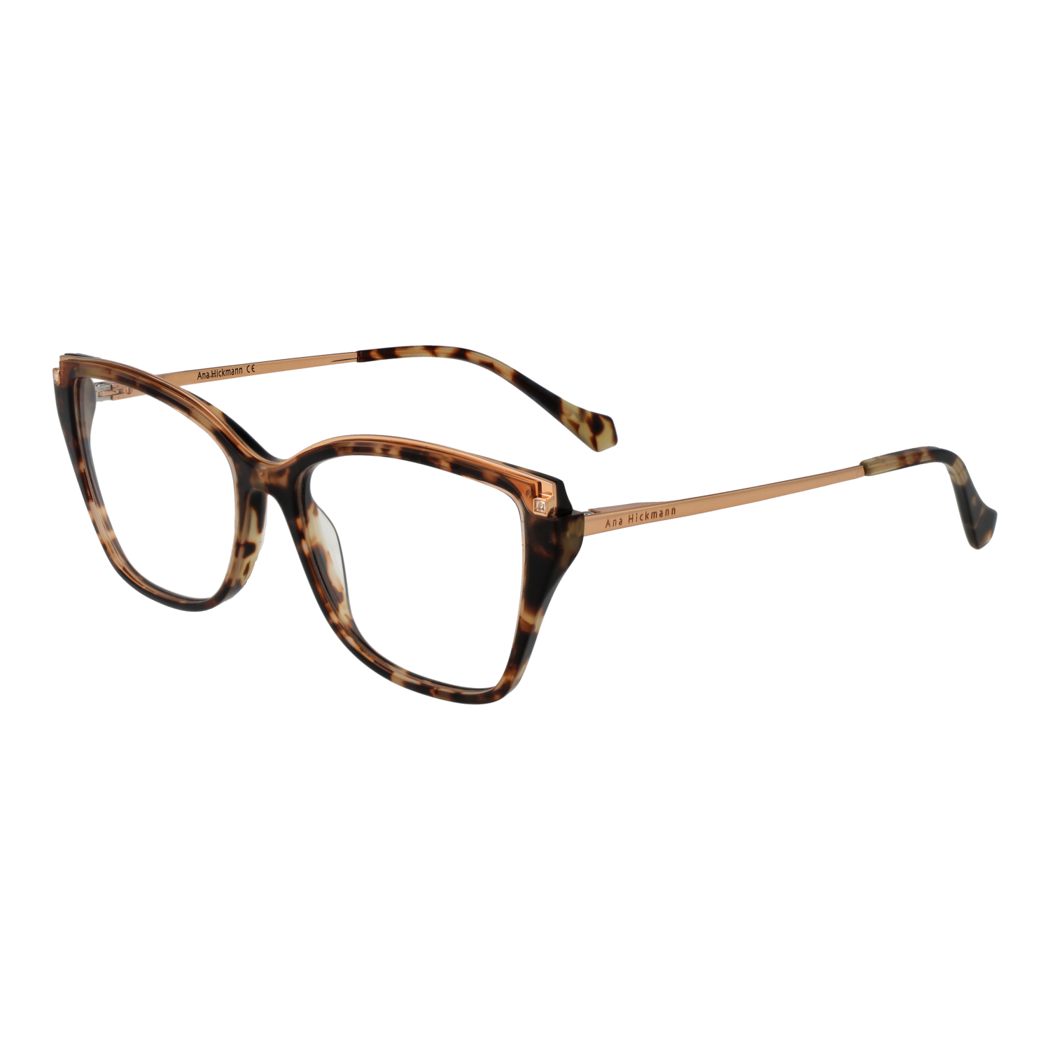 Ana Hickmann Optical Frame AH6476 G21 55