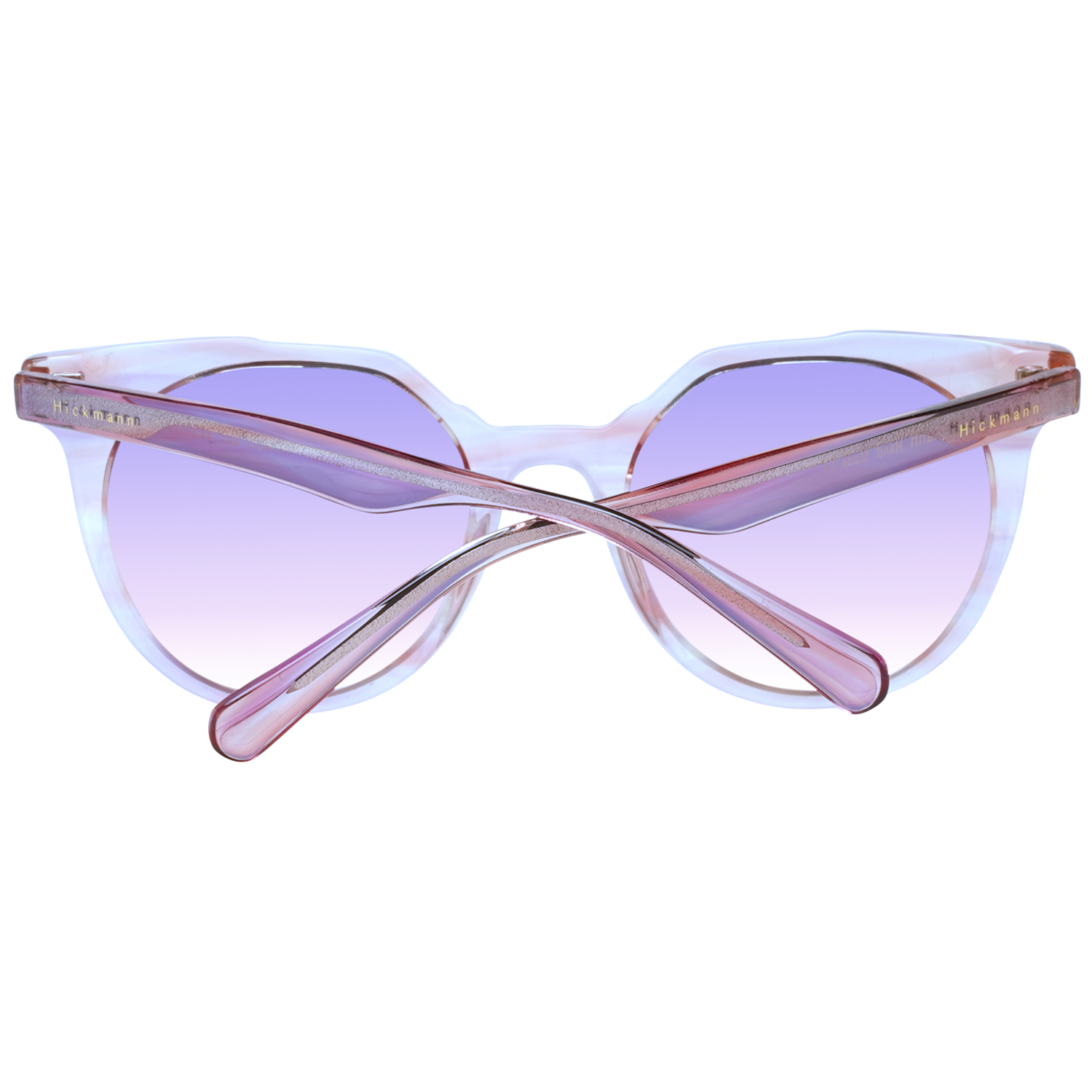 Ana Hickmann Sunglasses HIY9003 E01 48