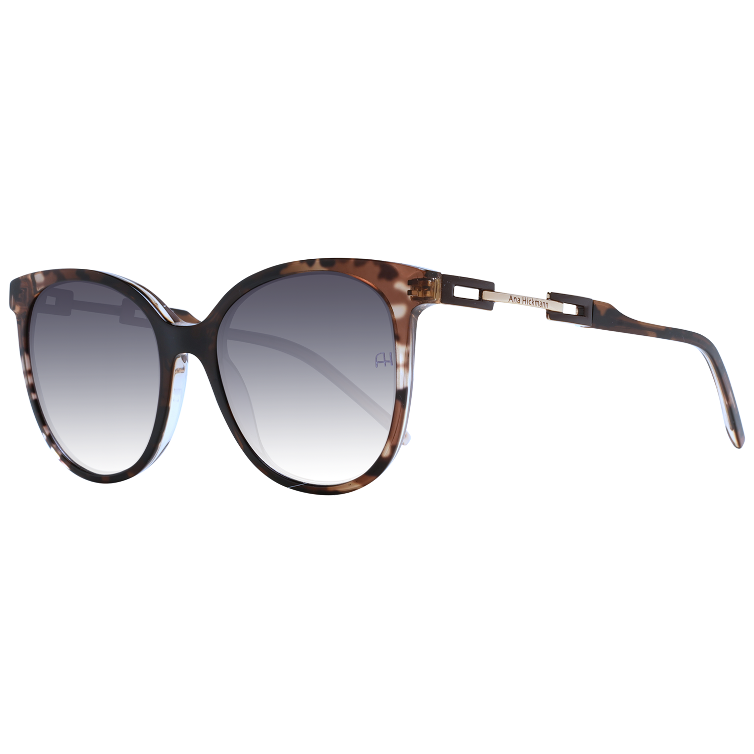 Ana Hickmann Sunglasses AH9347 C01 53