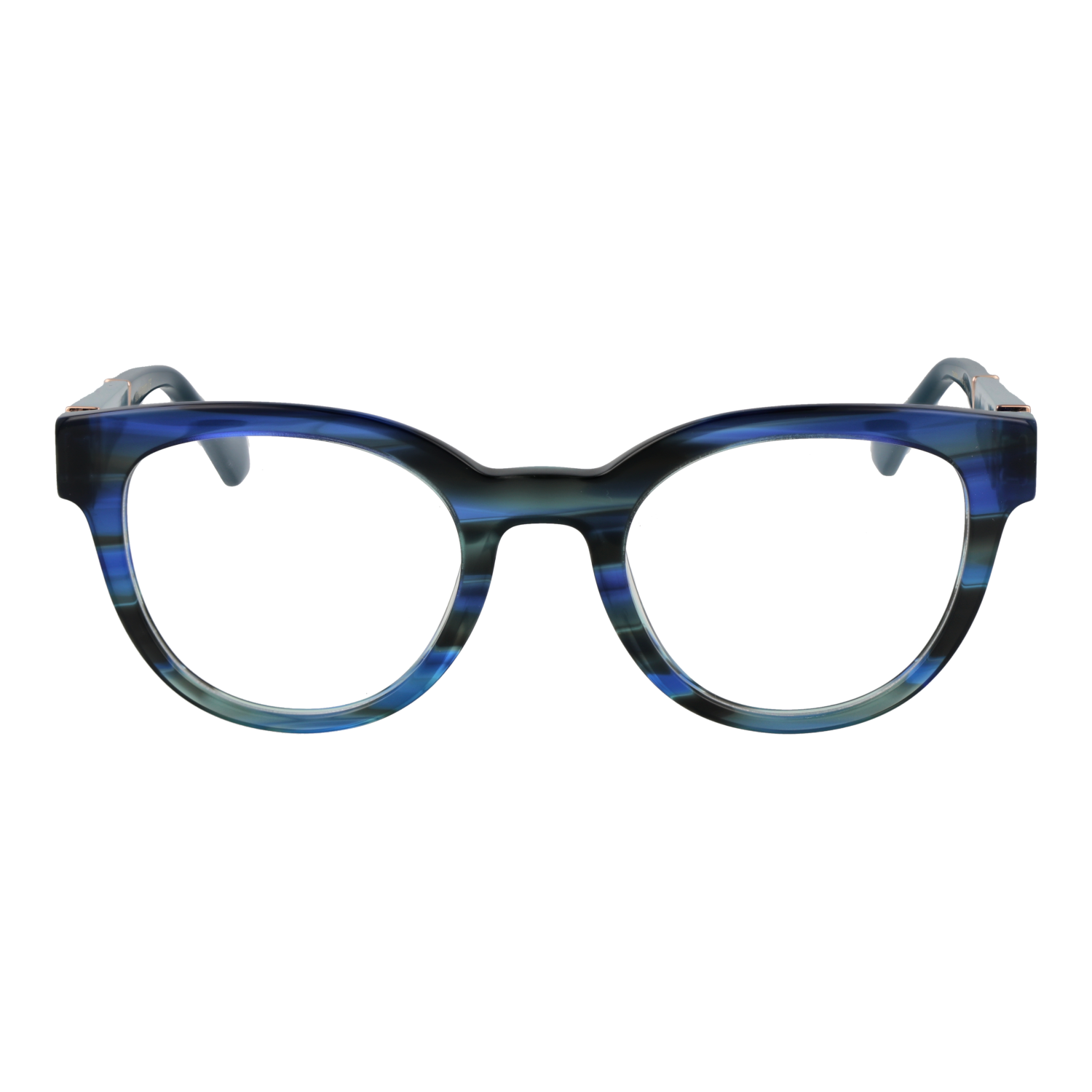 Ana Hickmann monture optique AH6493 E01 50