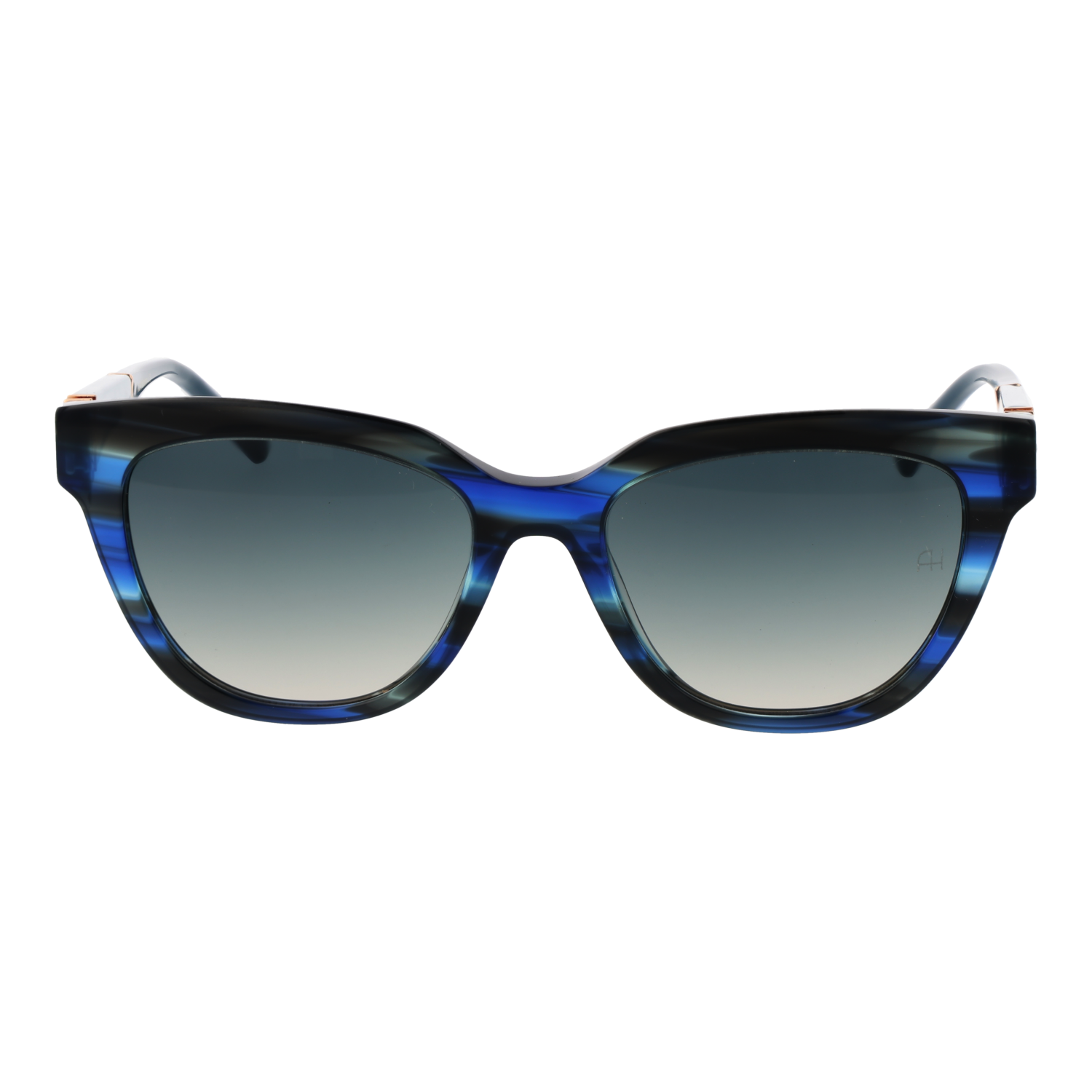 Ana Hickmann Sunglasses AH9356 E01 53