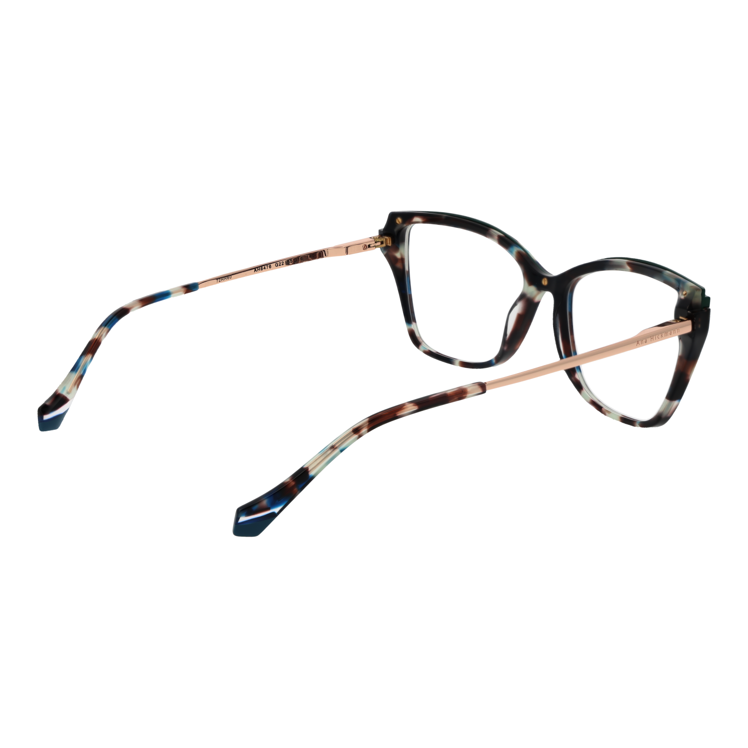 Ana Hickmann Optical Frame AH6476 G22 55