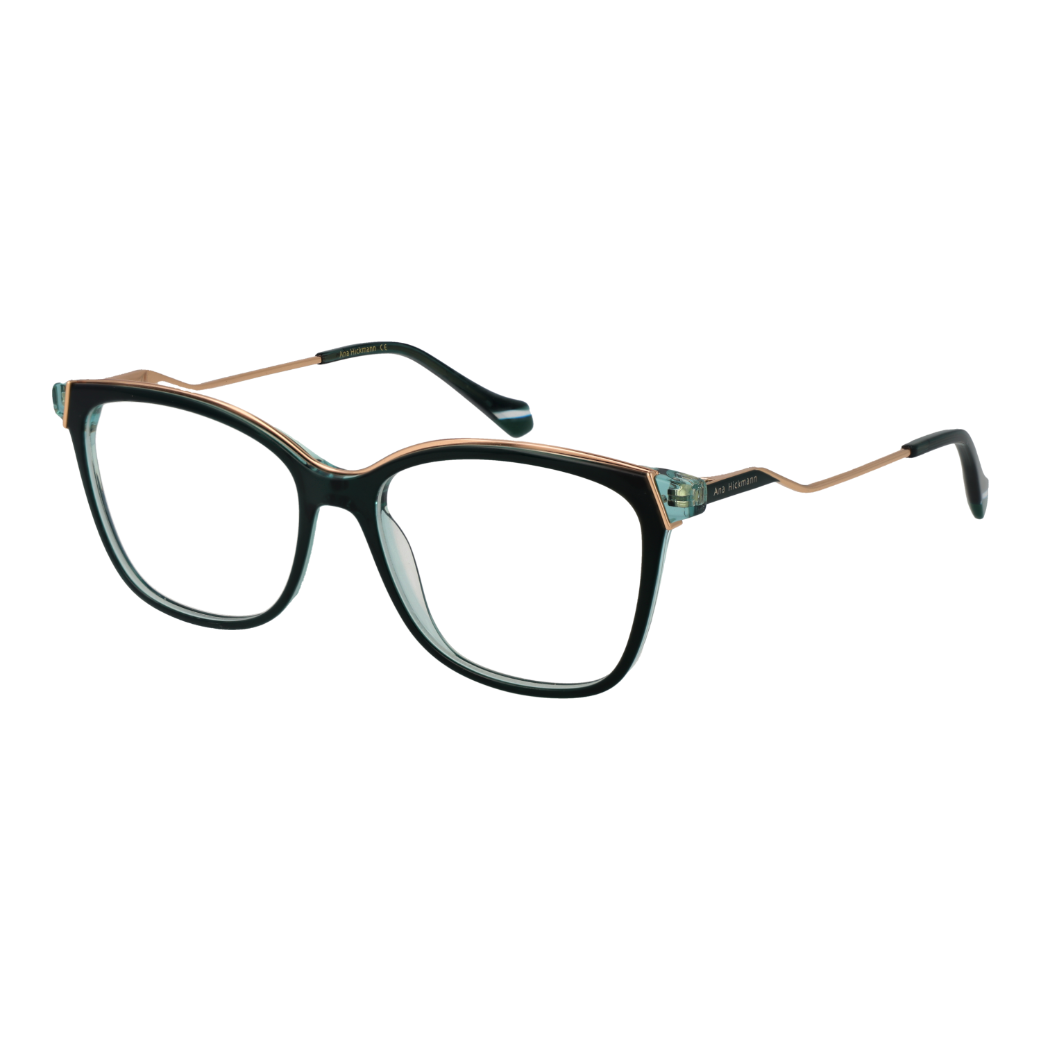 Ana Hickmann Optical Frame AH6482 H02 53