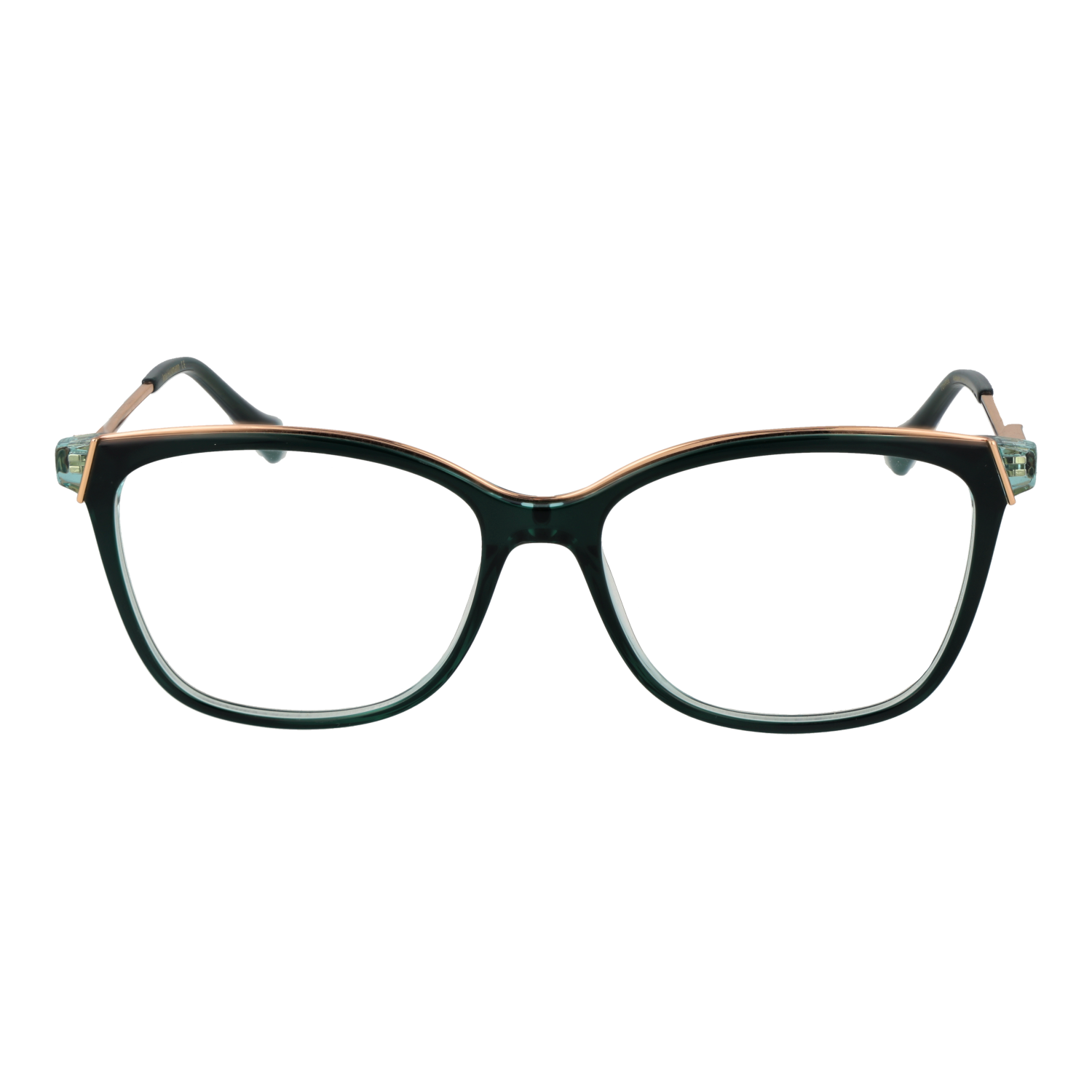 Ana Hickmann Optical Frame AH6482 H02 53
