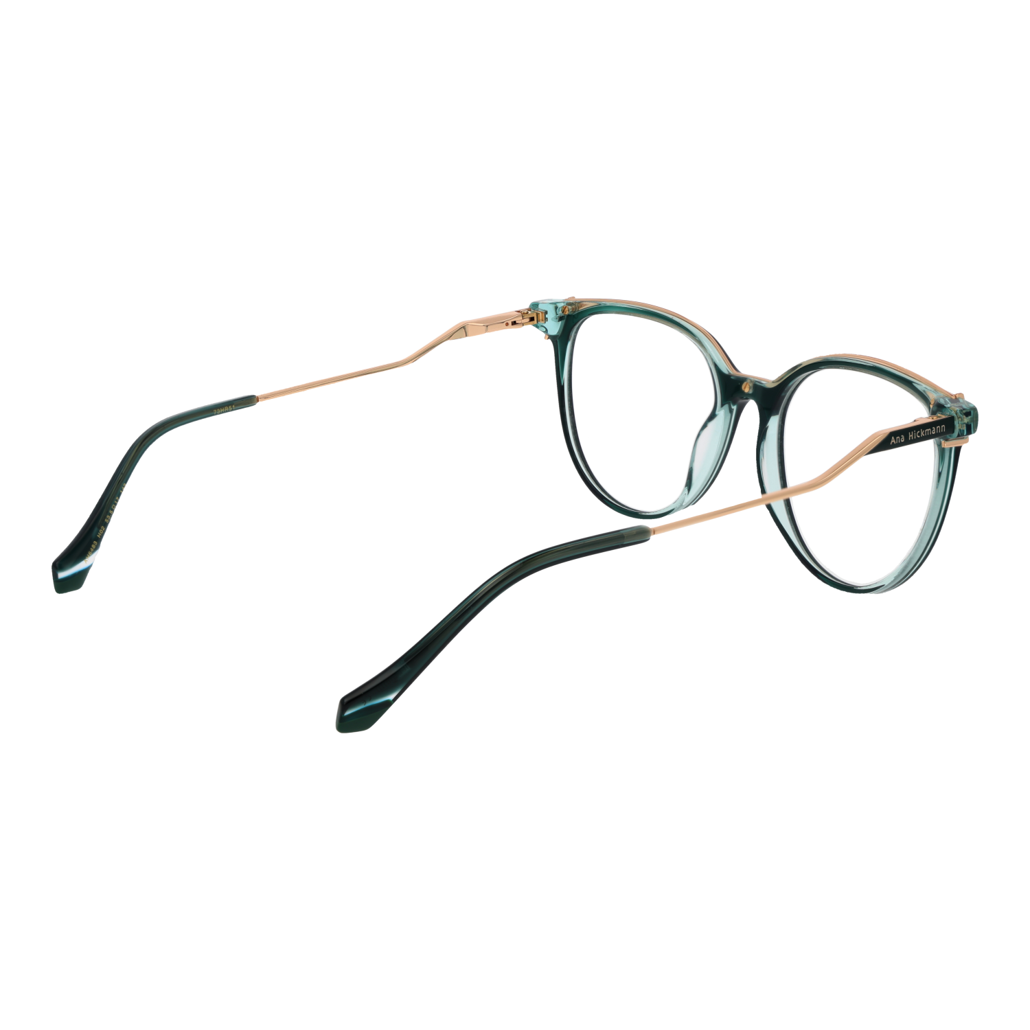 Ana Hickmann Optical Frame AH6483 H02 53