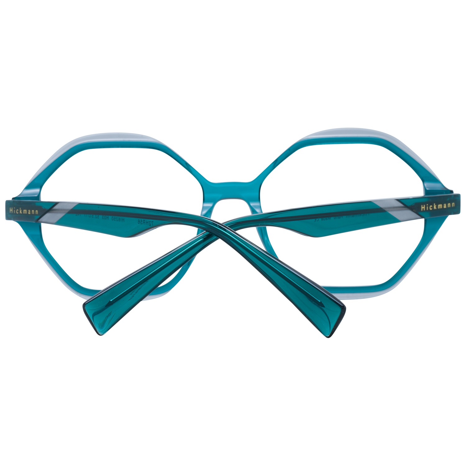Ana Hickmann Optical Frame HI6250 H03 52