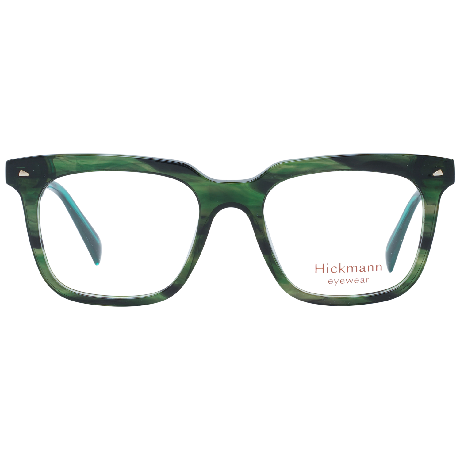 Ana Hickmann monture optique HI6252 E03 49